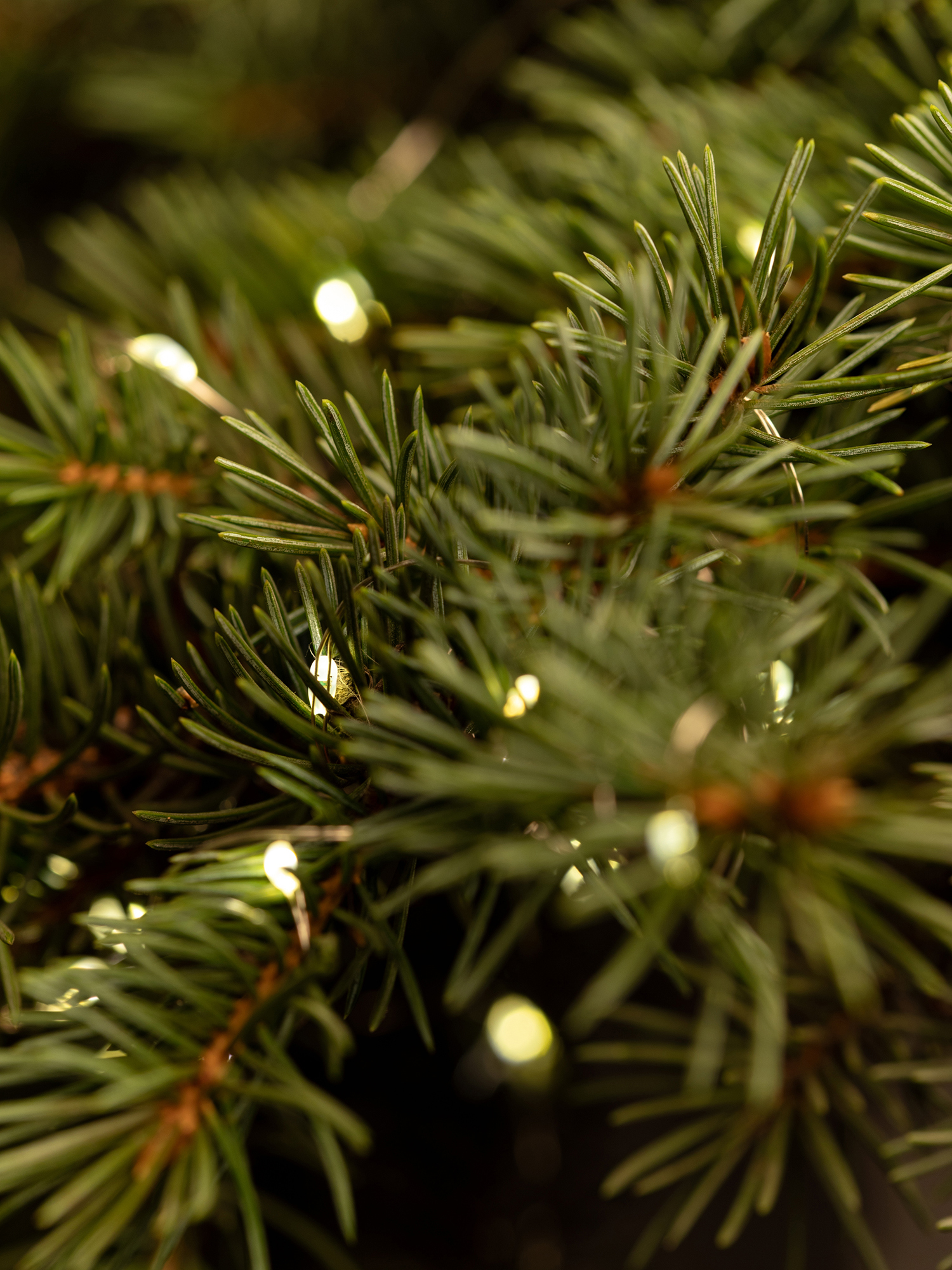 Изображение товара Электрогирлянда комнатная Intro б0060441 нить 10 м 100 ламп теплый белый (желтый) 1 режимов работы