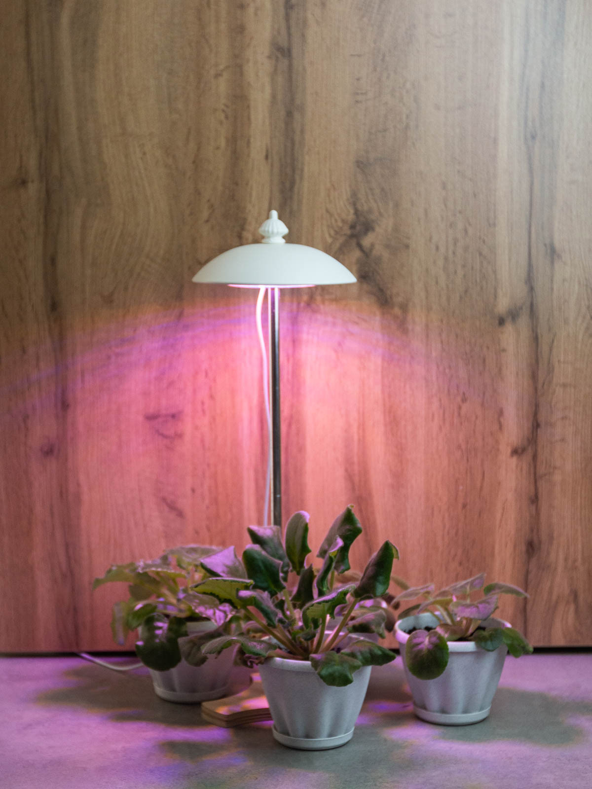 Изображение товара Kurato 683082 — фитолампа 50 Вт полнoспектральная, IP44