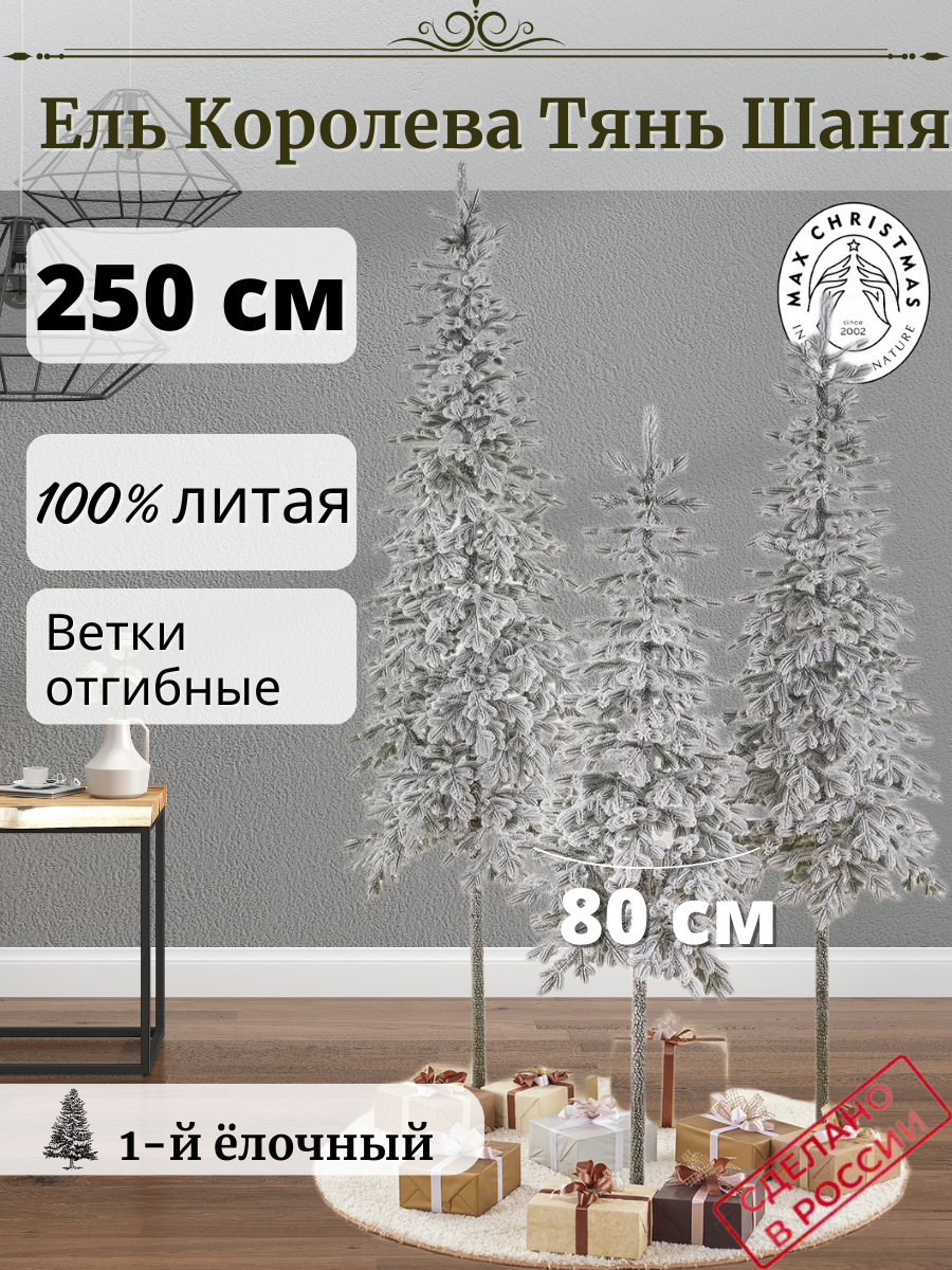 Изображение товара Ель новогодняя искусственная Max christmas КТШЗ 25 Королева тянь шаня заснеженная 250 см цвет белый
