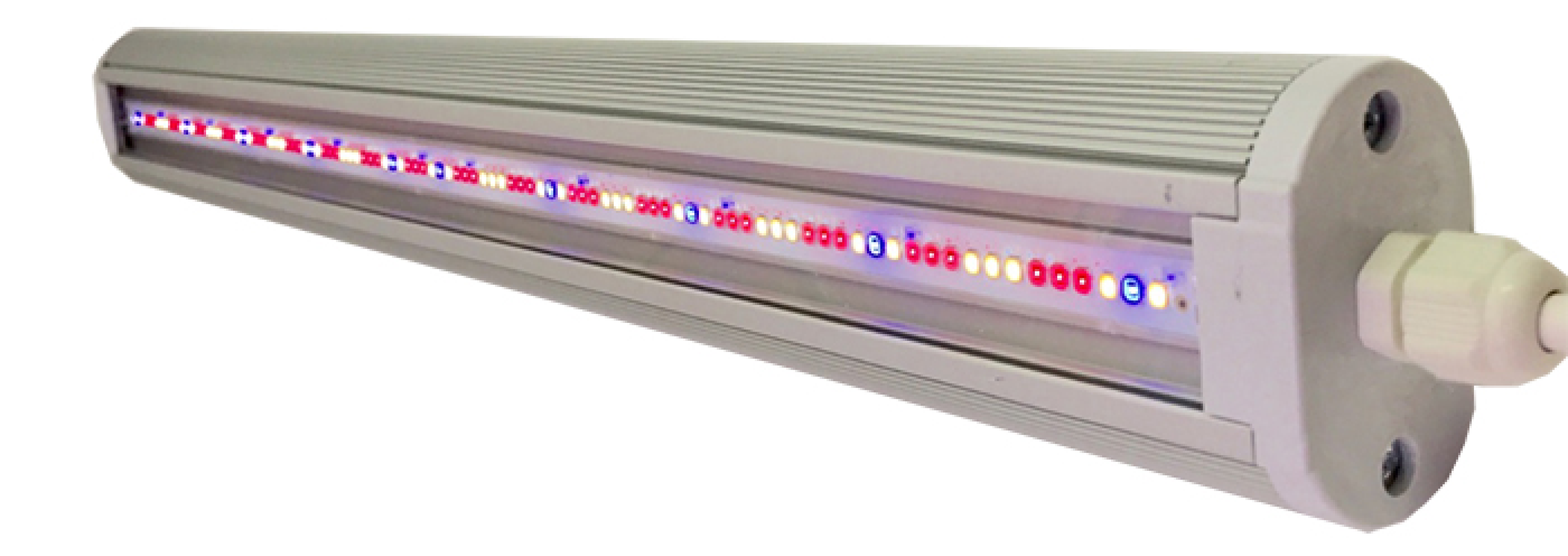 Изображение товара Фитосветильник линейный Fitoled 00010654 533 мм 40 Вт полного спектра для рассады разноцветный свет