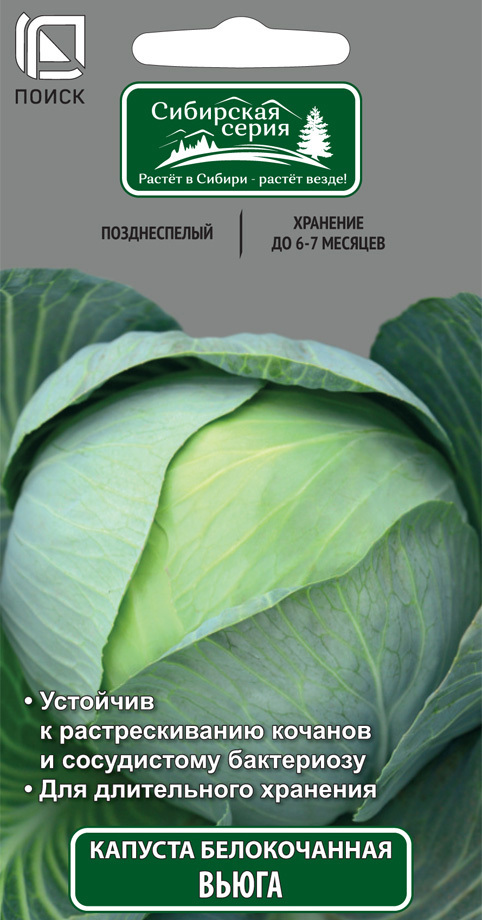 Изображение товара Семена Капуста белокочанная «Вьюга»