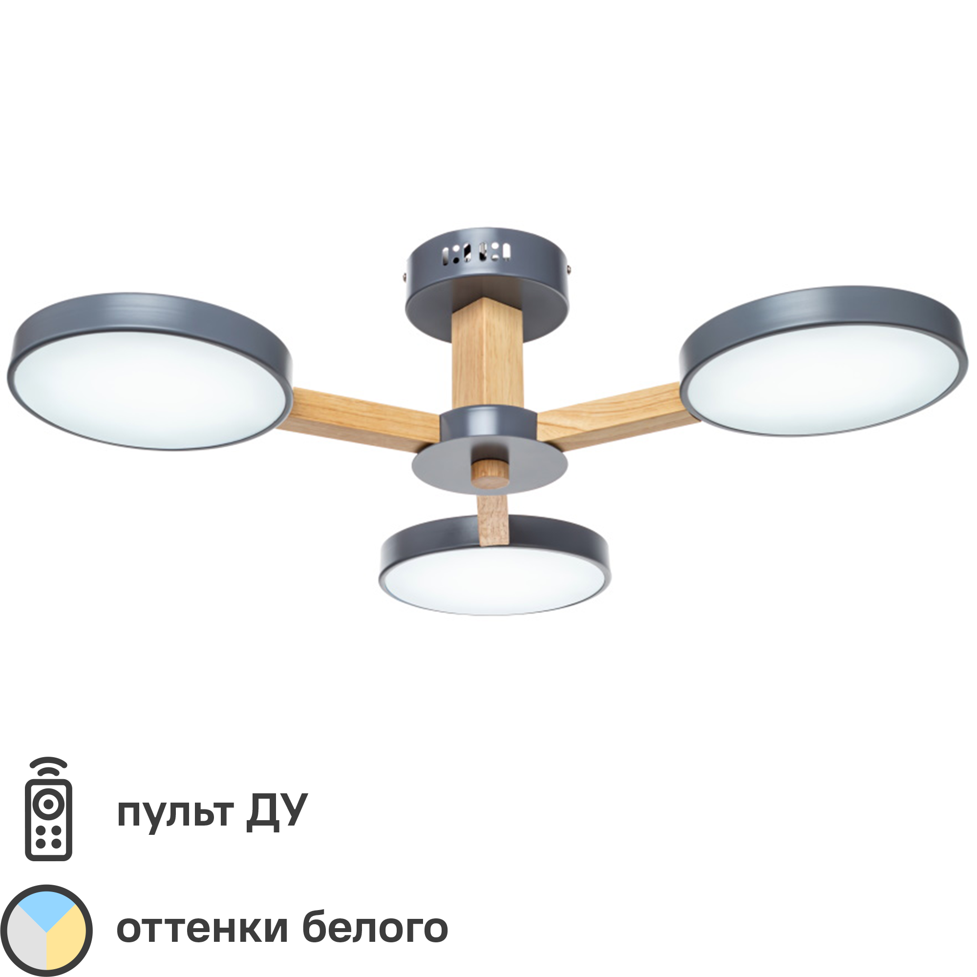 Изображение товара Люстра потолочная Cortes L1372 с пультом управления, 18 м², регулируемый белый свет, цвет серый/серебристый