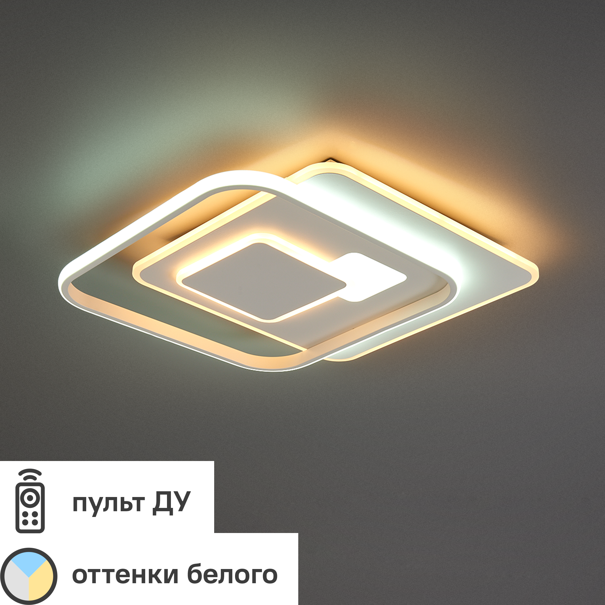 Изображение товара Светильник потолочный светодиодный Eurosvet Caroline 90255/1 черный с регулировкой света