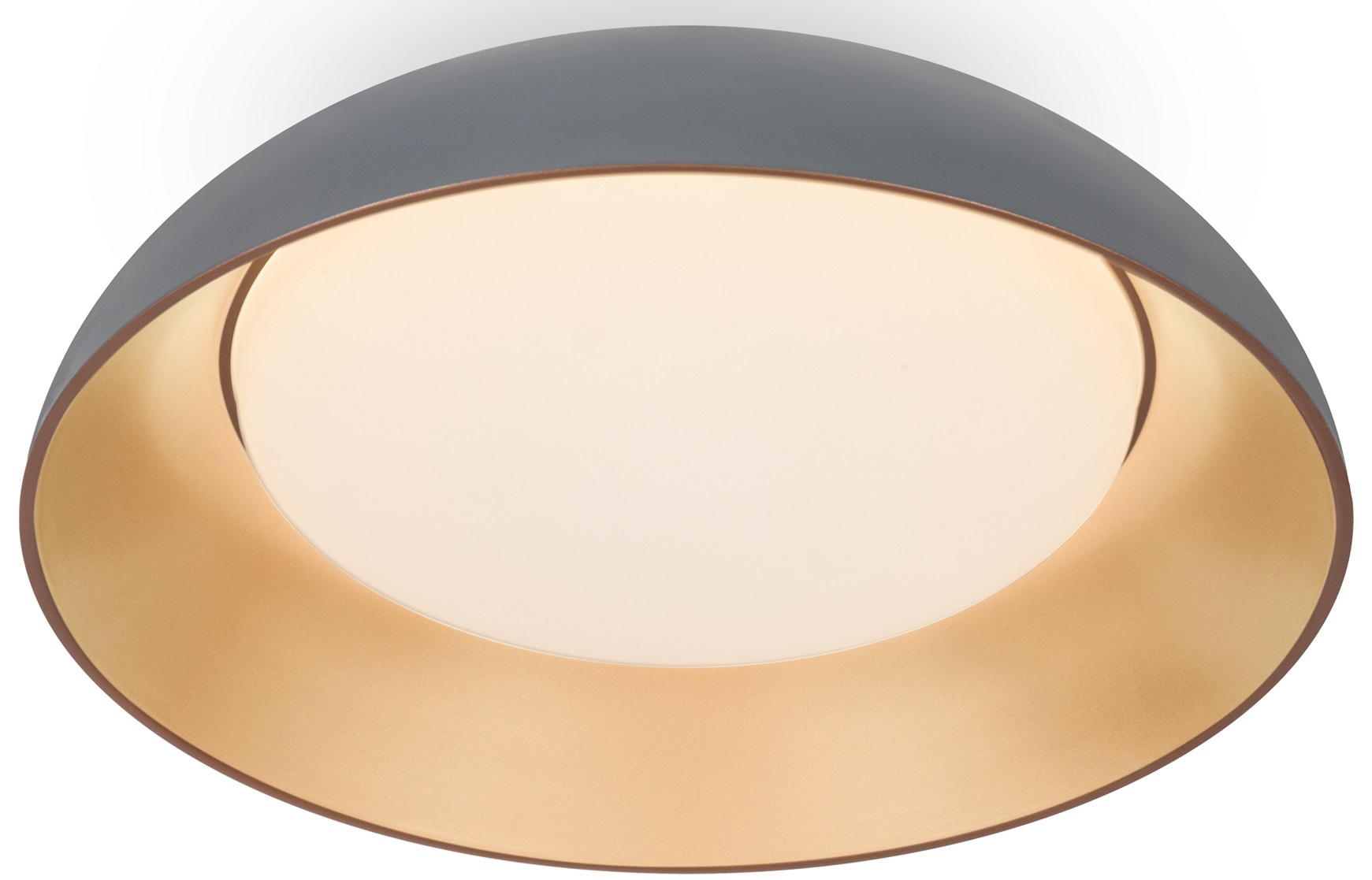 Изображение товара Люстра потолочная светодиодная Moonlight FR5277CL-L72GR серого цвета 50 см