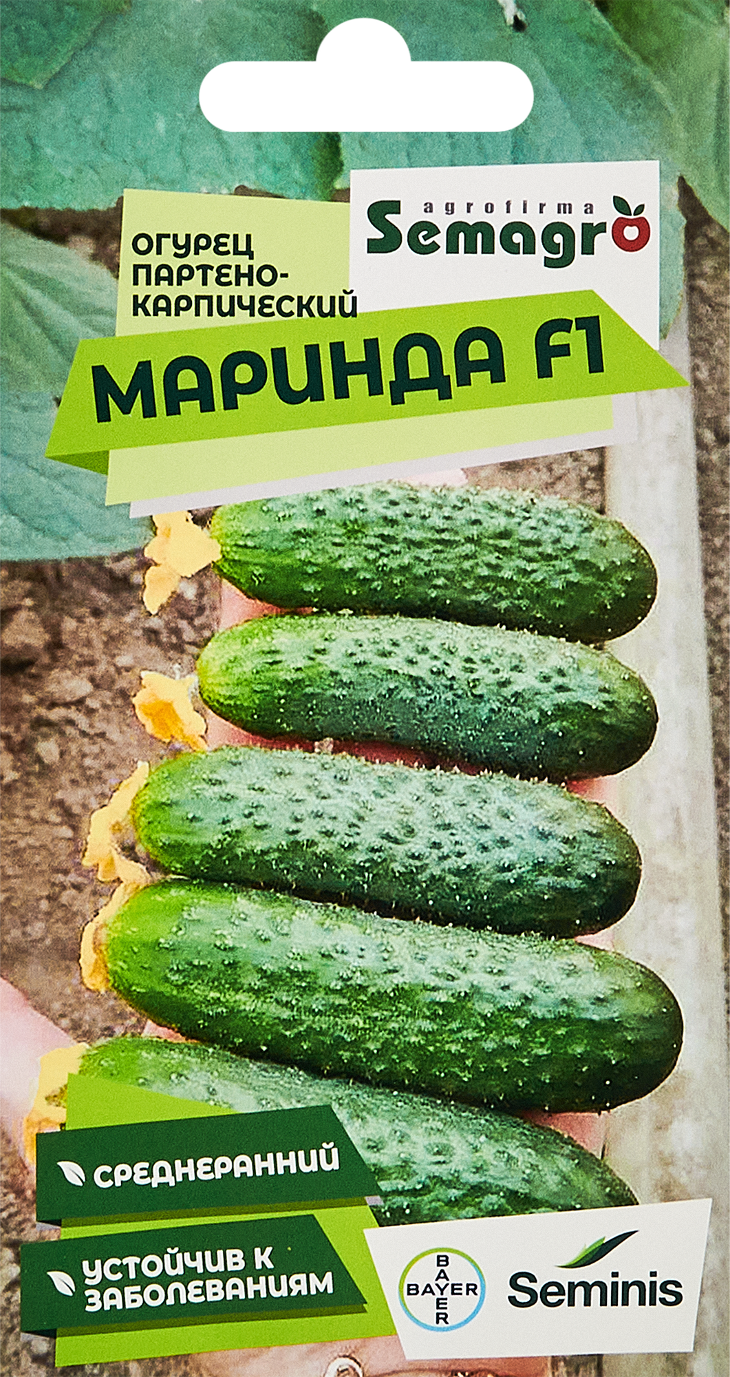 Изображение товара Огурец Партенокарпик Маринда F1 - раннеспелый гибрид, 42 дня до созревания