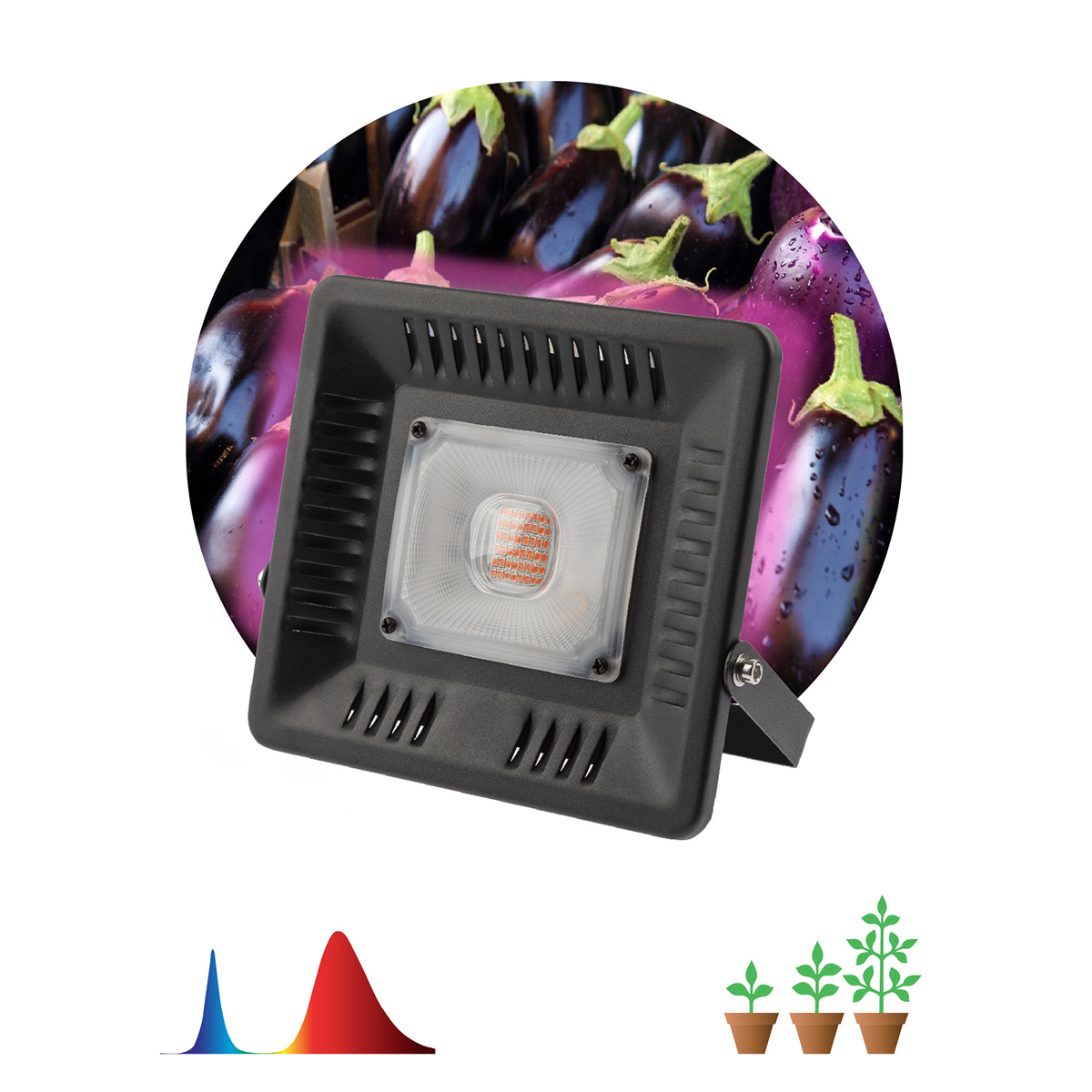 Изображение товара Фитопрожектор для растений светодиодный ЭРА Fito-50W-LED-BLUERED для цветения и плодоношения 50Вт красно-синего спектра
