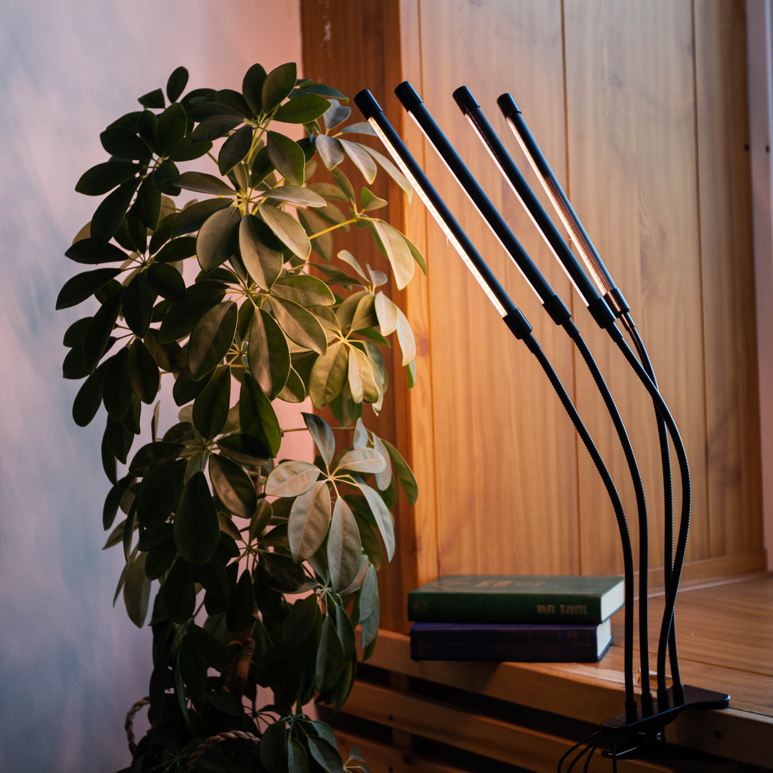 Изображение товара Настольная фитолампа Kurato 128074 40 Вт полного спектра для цветения декоративных растений теплый белый (желтый) свет влагостойкий с таймером