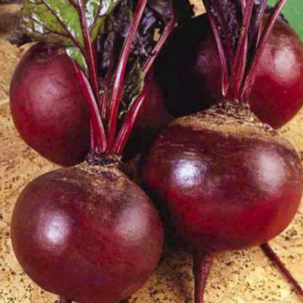 Изображение товара Семена Свёкла Детройт Agroni