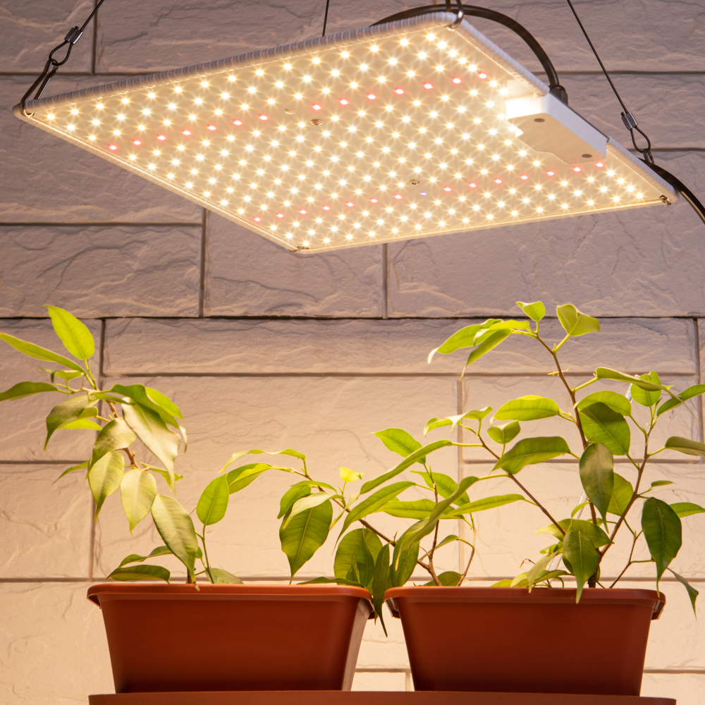 Изображение товара Профессиональная светодиодная фитолампа Эра Fito 80 Вт для растений