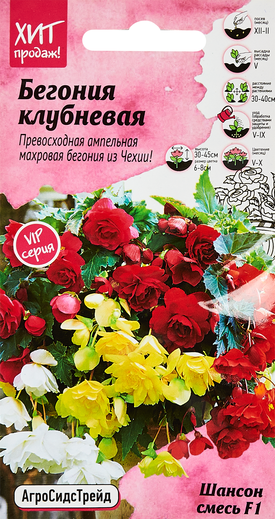 Семена цветов Агросидстрейд бегония клубневая Шансон F1 смесь окрасок
