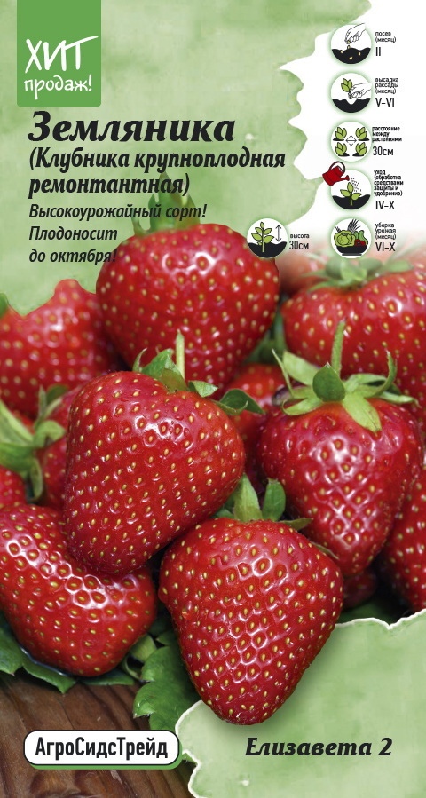 Изображение товара Семена ягод Агросидстрейд клубника ремонтантная Елизавета 2
