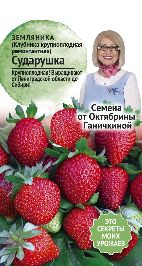 Изображение товара Семена ягод клубника ремонтантная Сударушка