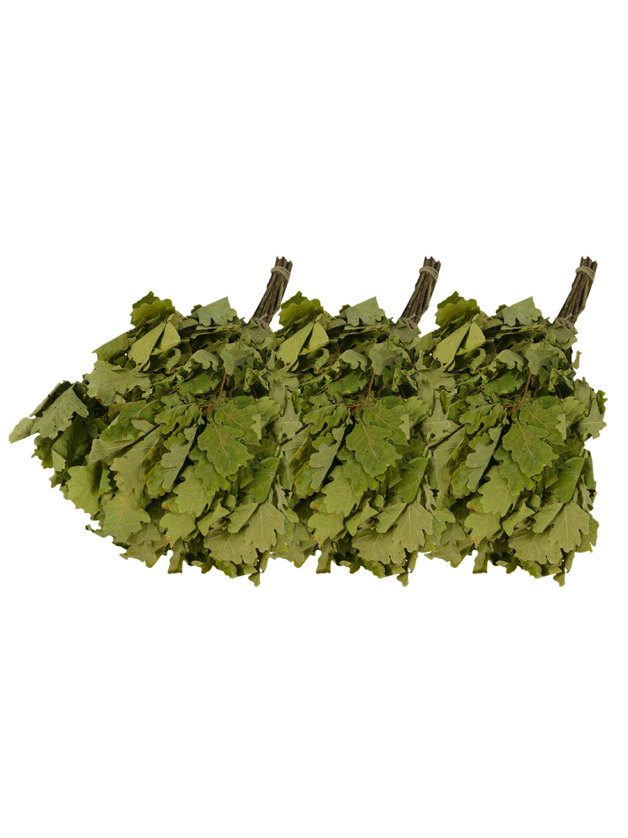 Изображение товара Набор Веник для бани и сауны Бацькина баня дубовый 3 шт 20510-3-набор-ЛМ