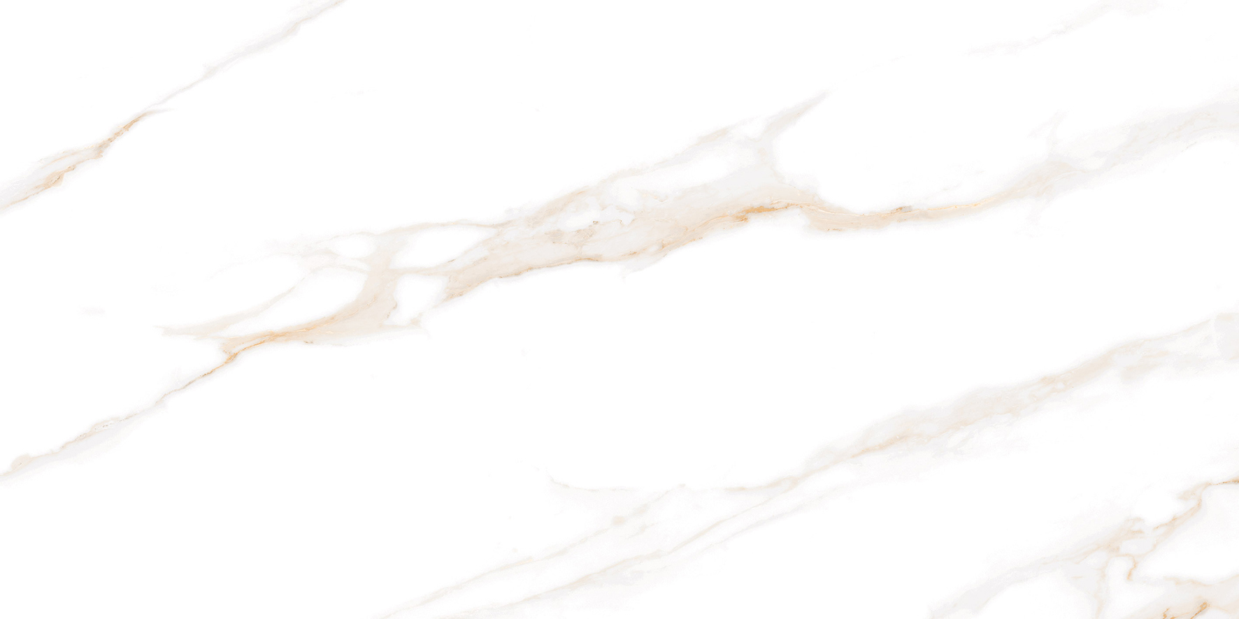 Изображение товара Керамогранит Laparet Calacatta Regal 120x60 см белый полированный