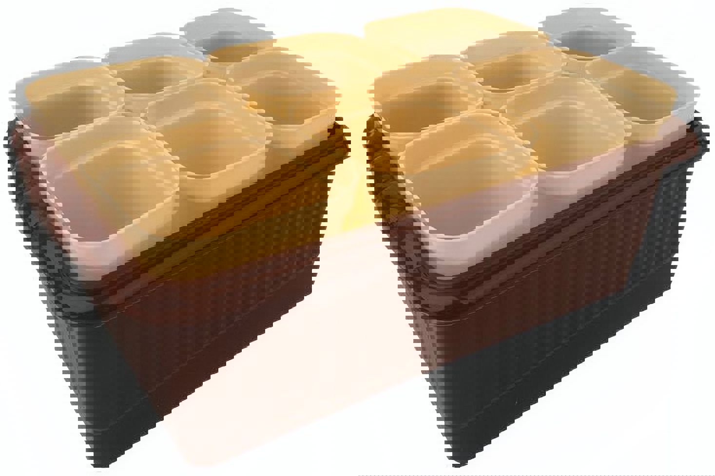 Изображение товара Комплект для рассады Лето ящик 6 стаканов со съемным дном 0.25 л 247x166x90 мм Изображение товара Комплект для рассады Лето ящик 6 стаканов со съемным дном 0.25 л 247x166x90 мм