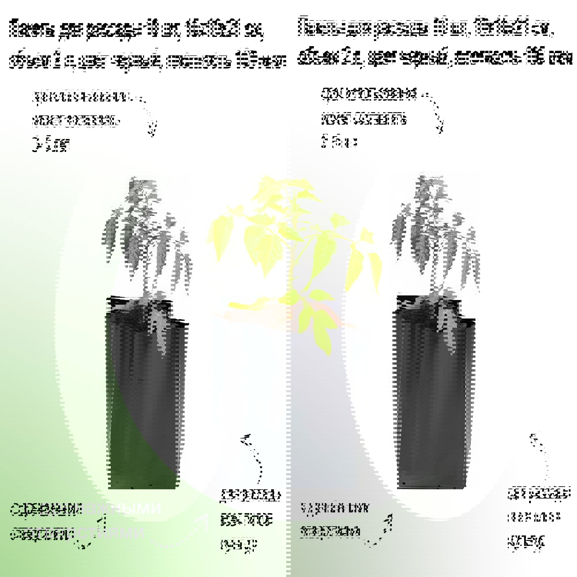 Изображение товара Пакеты для рассады Лето 10 шт 10x10x21 см 2 л цвет черный