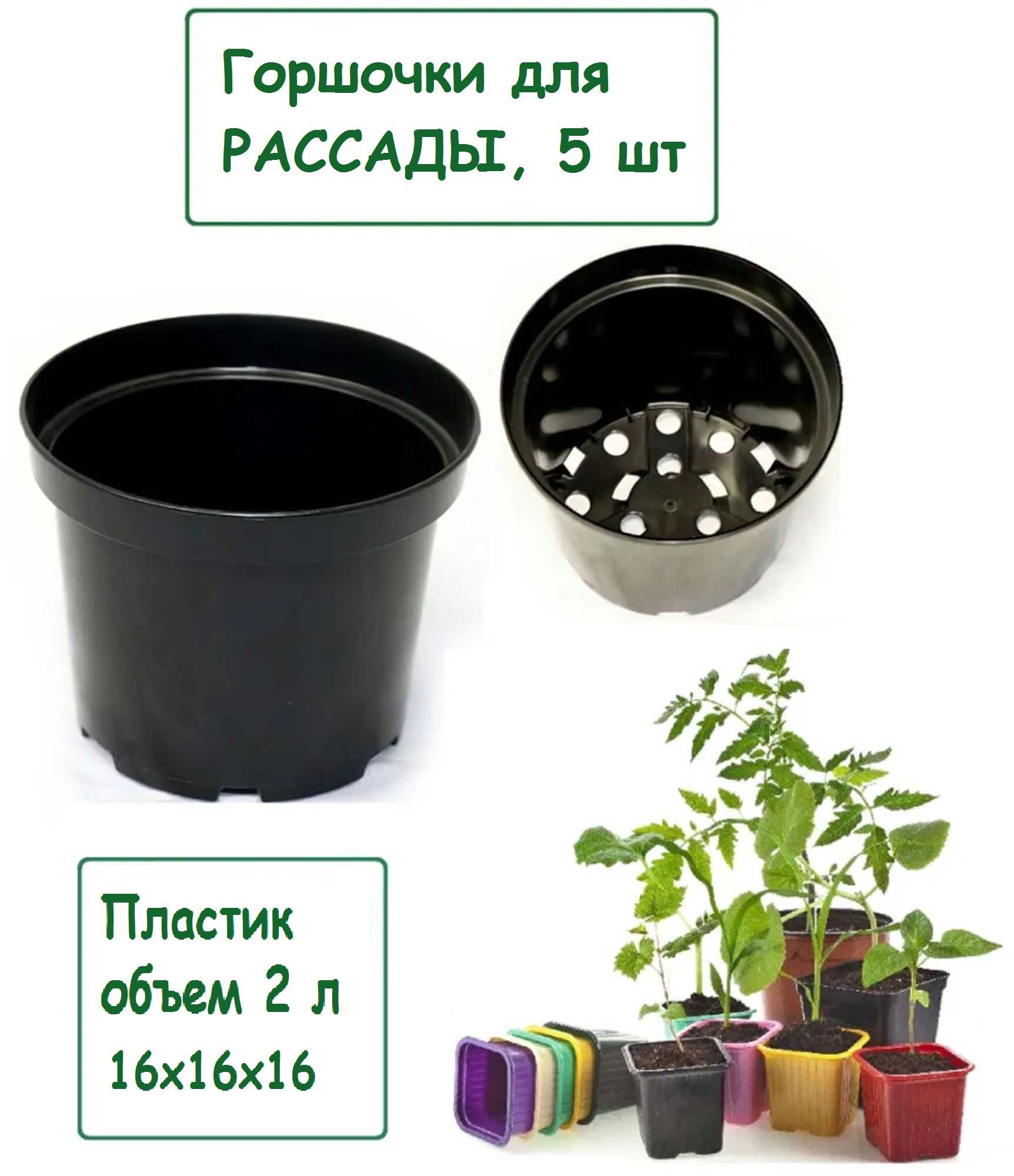 Изображение товара Горшки для рассады Лето 5 шт d 16 см цвет черный 2 л