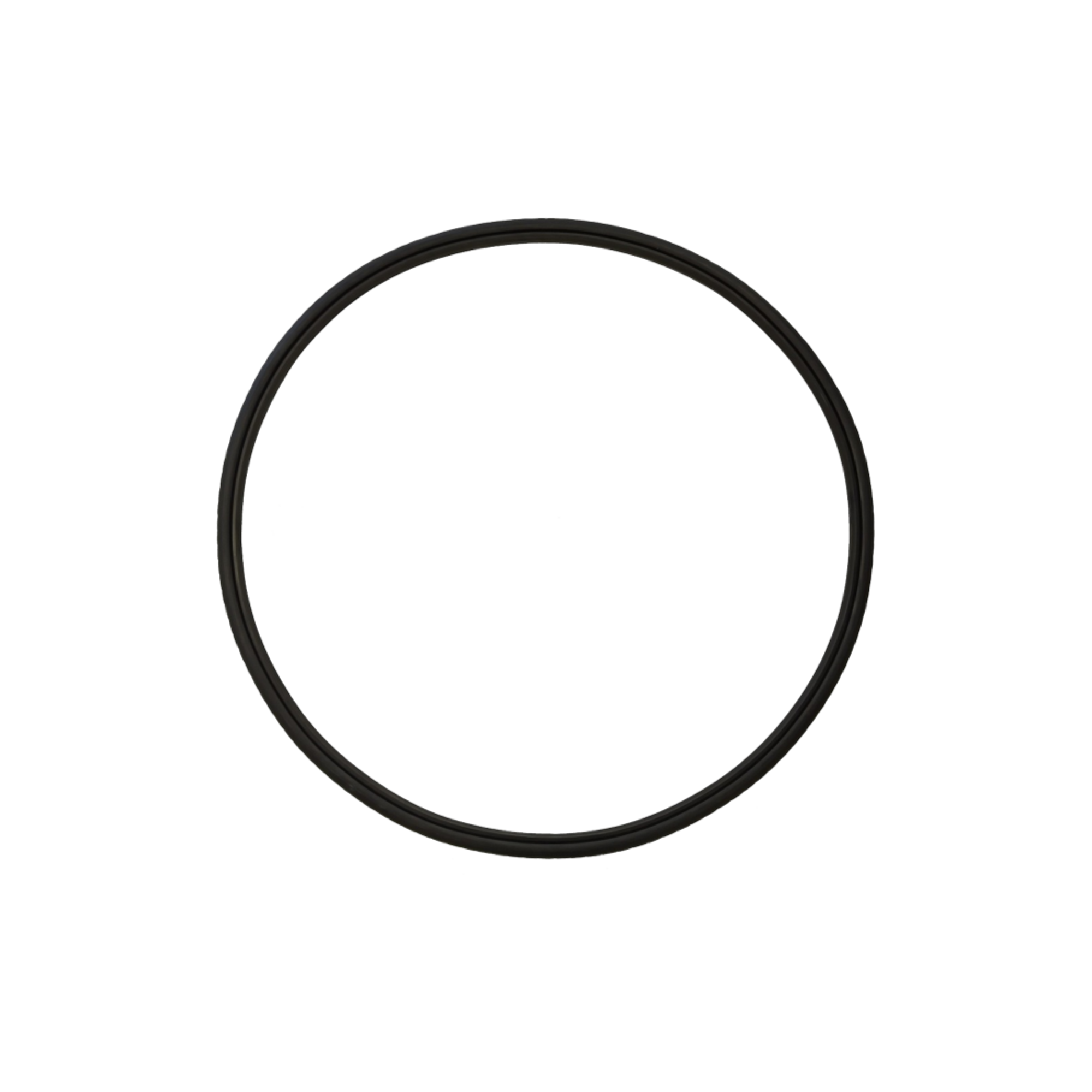 Изображение товара Кольцо уплотнительное для корпусов Big Blue BB10 BB20 силиконовое