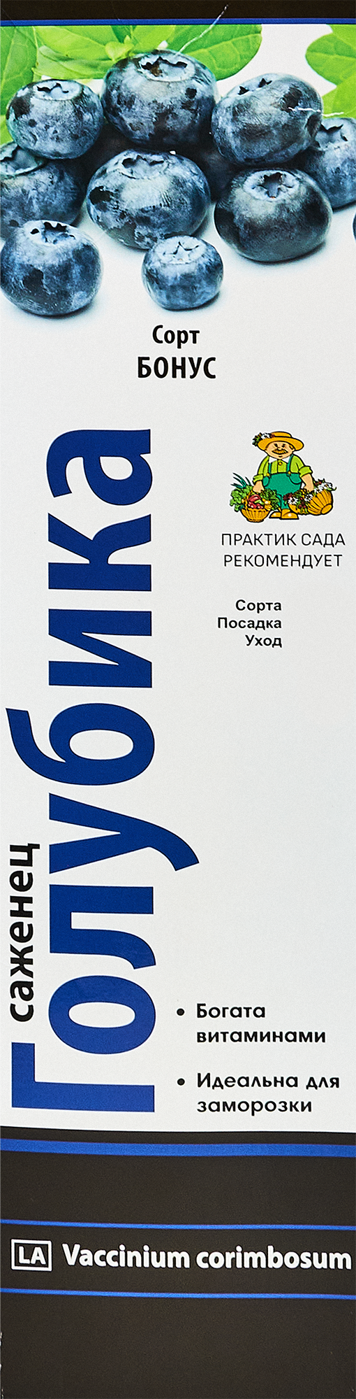 Изображение товара Голубика высокорослая Бонус короб h35 см