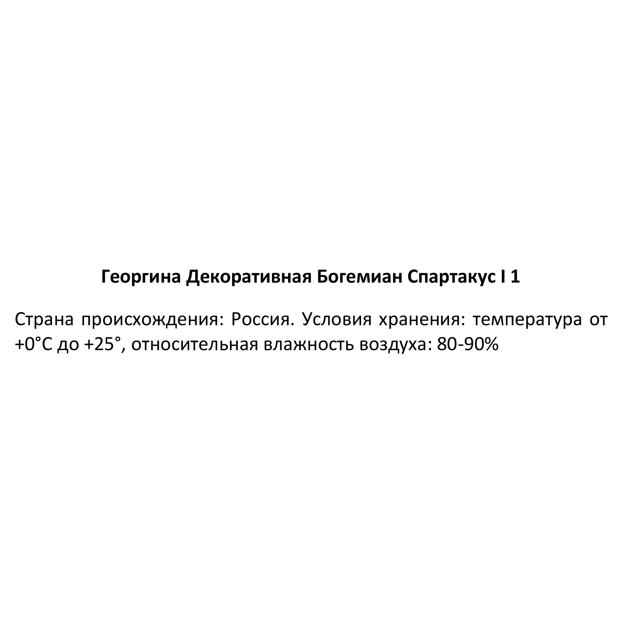 Жетілген жалаңаш әзірбайжан әйелдері