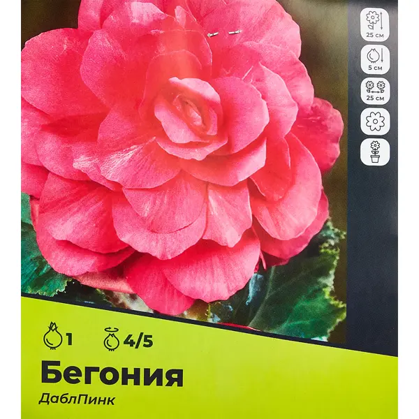 Бегония Дабл Пинк луковицы 4/5