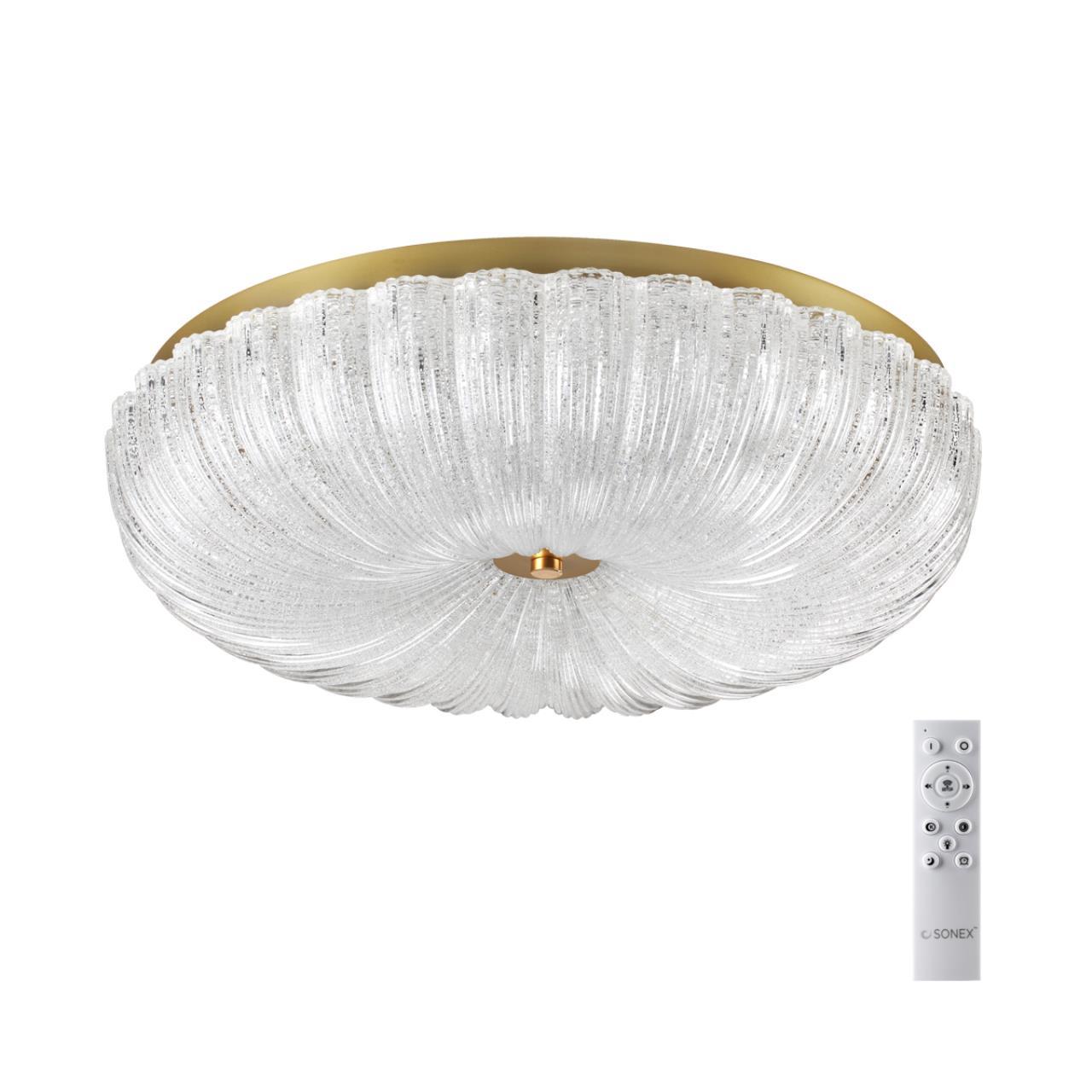 Изображение товара Современный настенно-потолочный светодиодный светильник Сонекс 7719/60L с пультом управления для 26