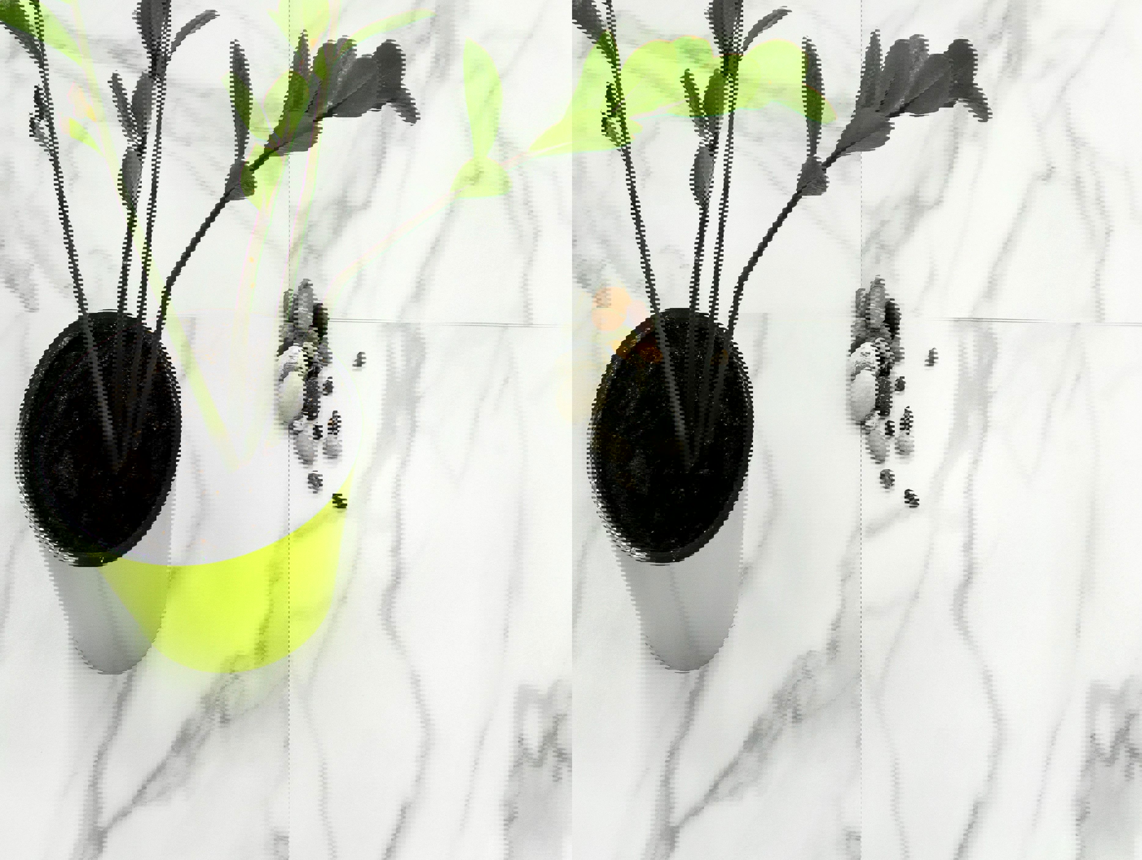 Изображение товара Керамогранит Laparet Granada 60x60 см белый матовый для пола и стен