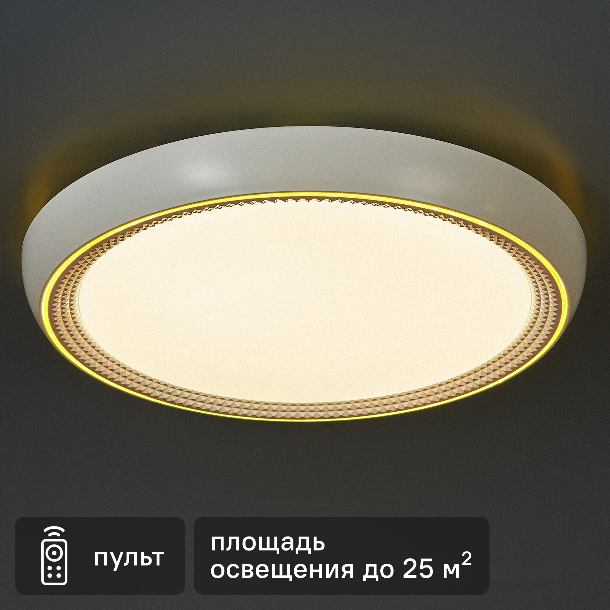 Изображение товара Светильник настенно-потолочный светодиодный влагозащищенный 48019.50.90.77GD 25 м² регулируемая яркость света цвет белый