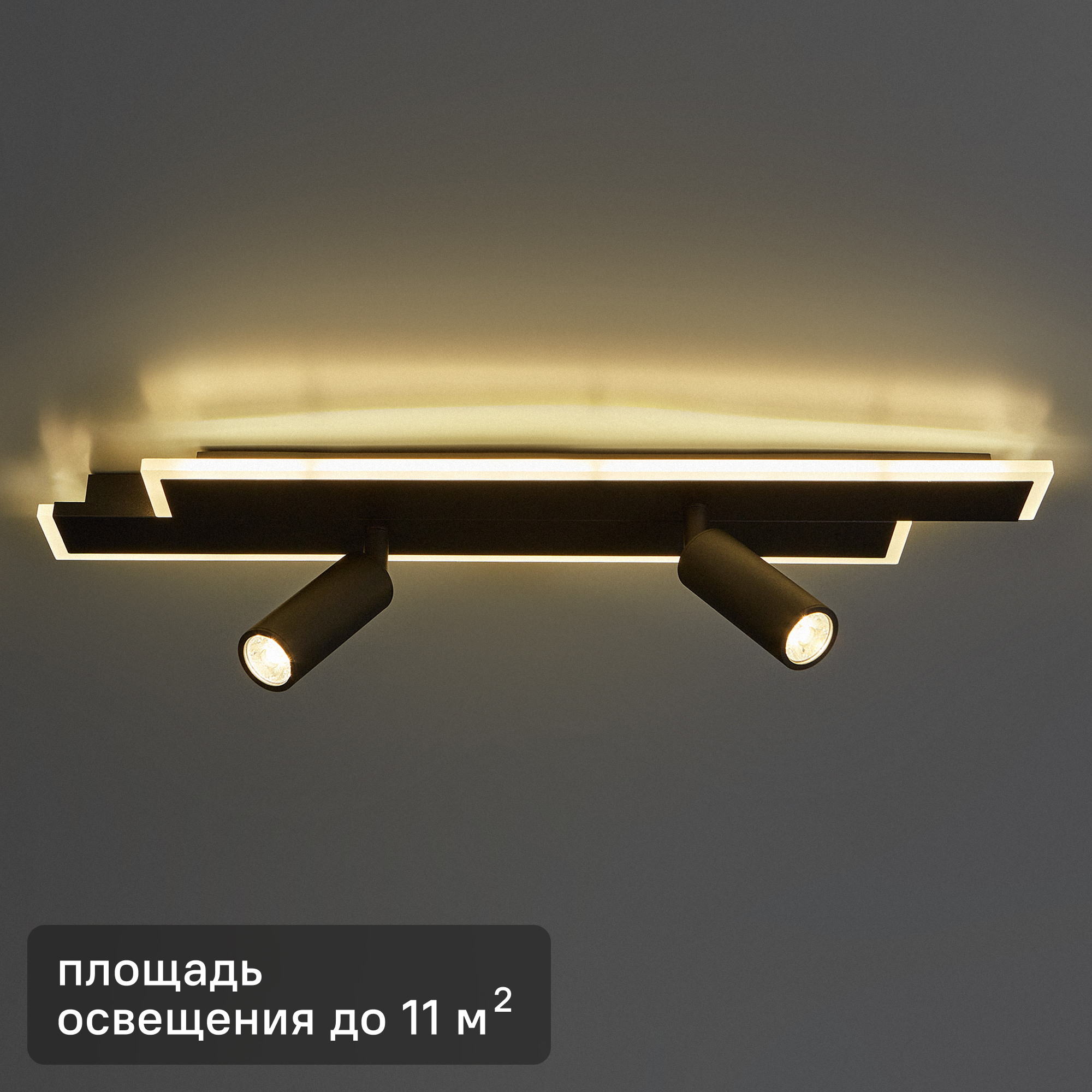 Изображение товара Светильник потолочный 20047SMA/02 черный для освещения до 11 м²