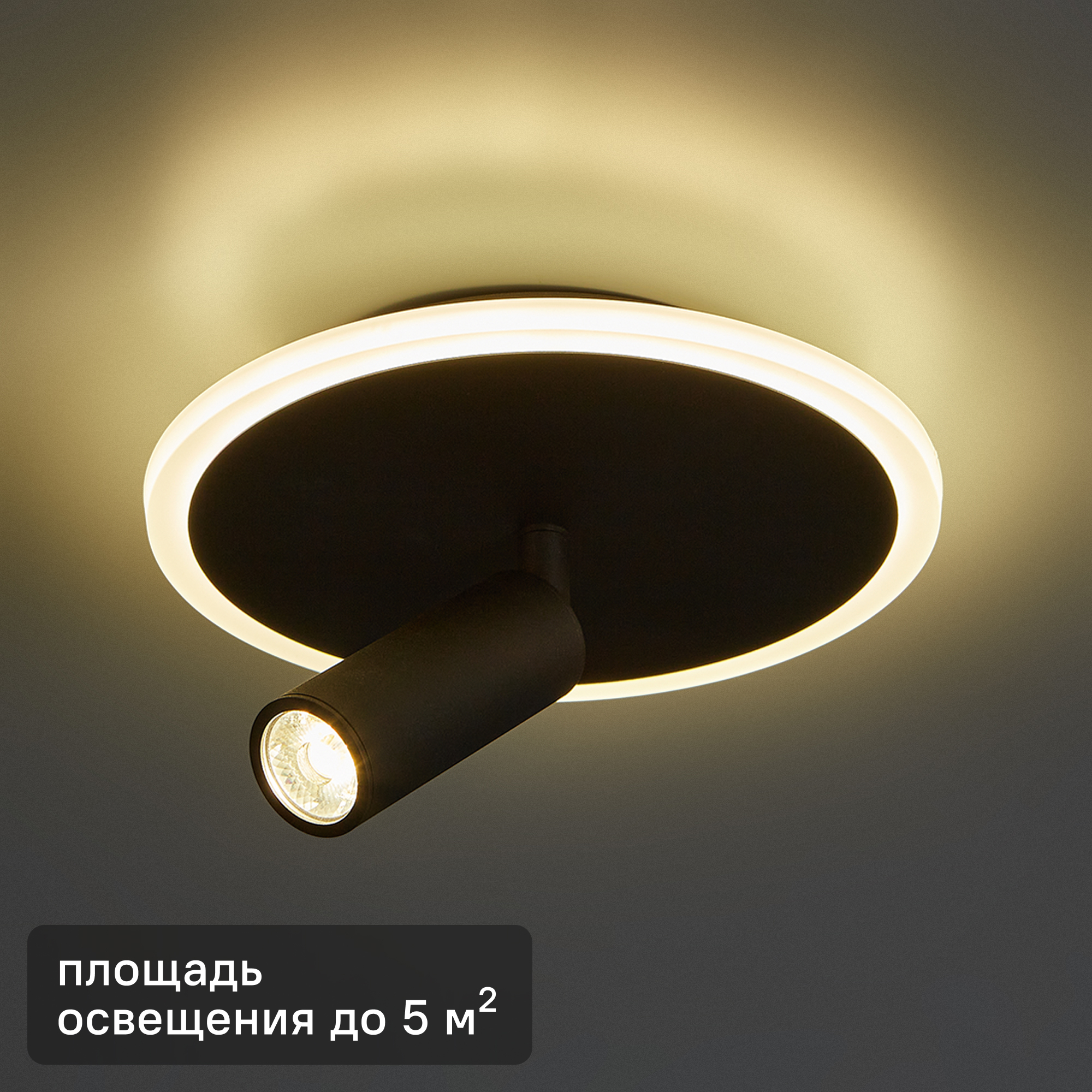 Изображение товара Современный потолочный светильник ESCADA 20046SMA/01 черного цвета