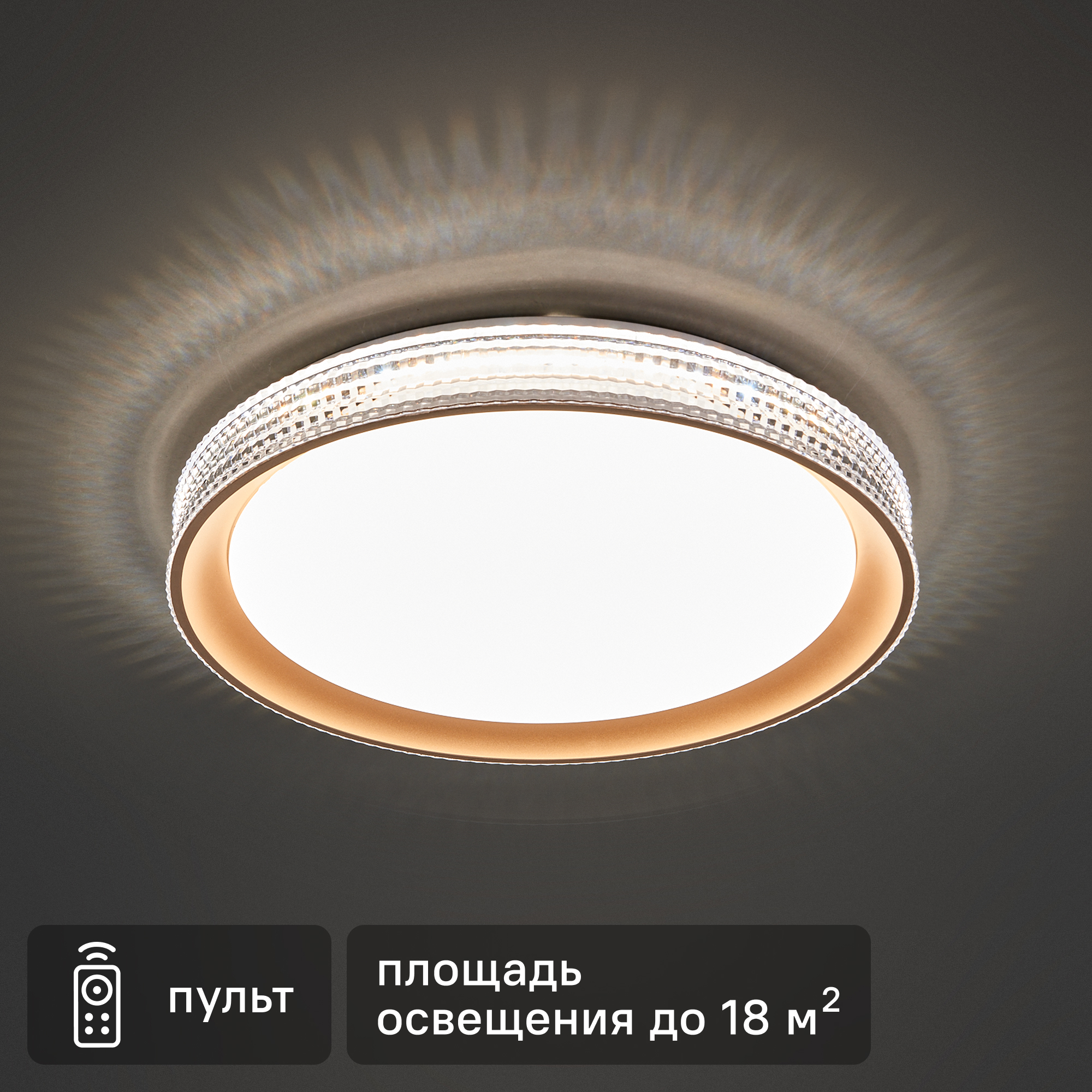 Изображение товара Настенно-потолочный светодиодный светильник Lumion Shiny 3054/DL 48 Вт IP43