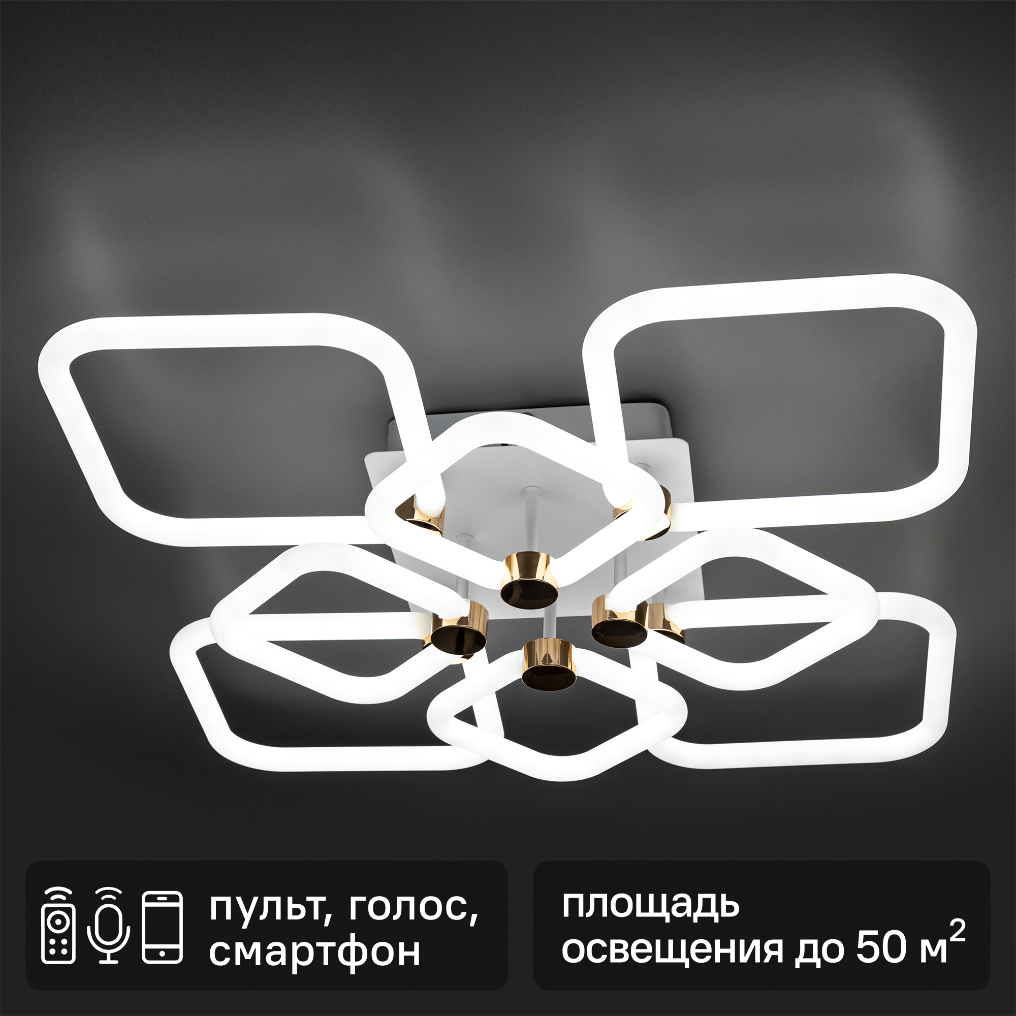 Изображение товара Современная LED люстра Ritter Ottimo 51617 4 с пультом управление и настройкой цвета