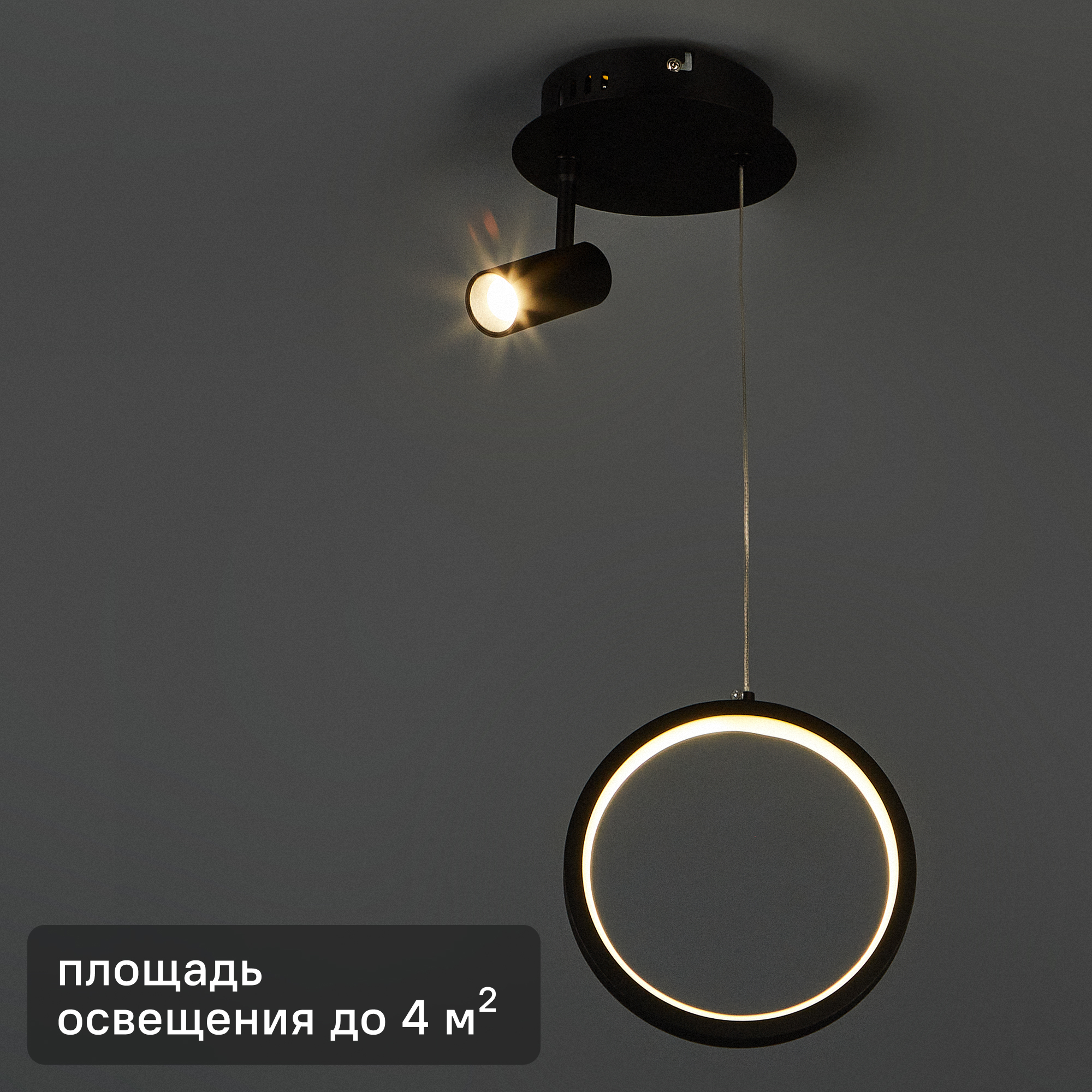 Изображение товара Подвесной светильник Airy FR6082PL-L10B светодиодный современный черный