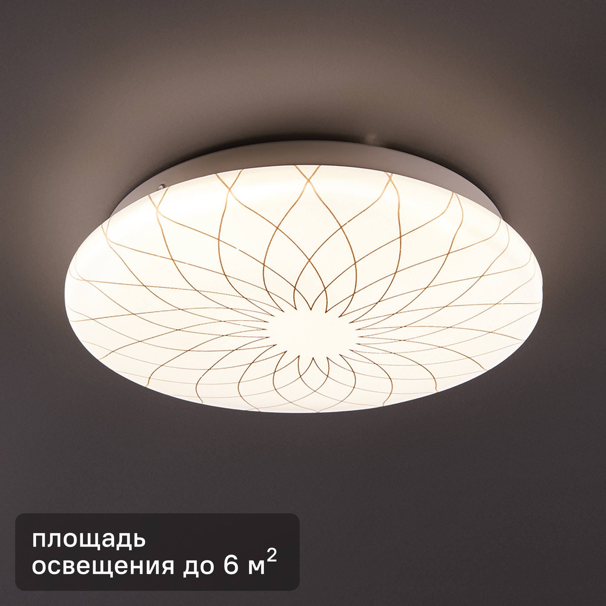 Изображение товара Настенно-потолочный светодиодный светильник Lumin Arte Fler 12 Вт 900 Лм IP20 белый