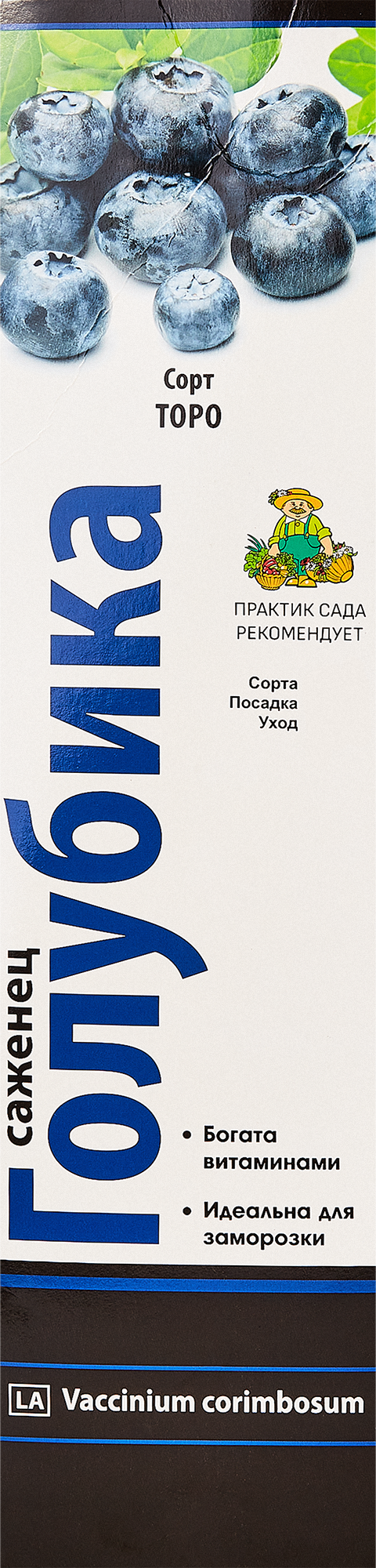 Изображение товара Голубика Торо высокорослая для садов и дач 40 см