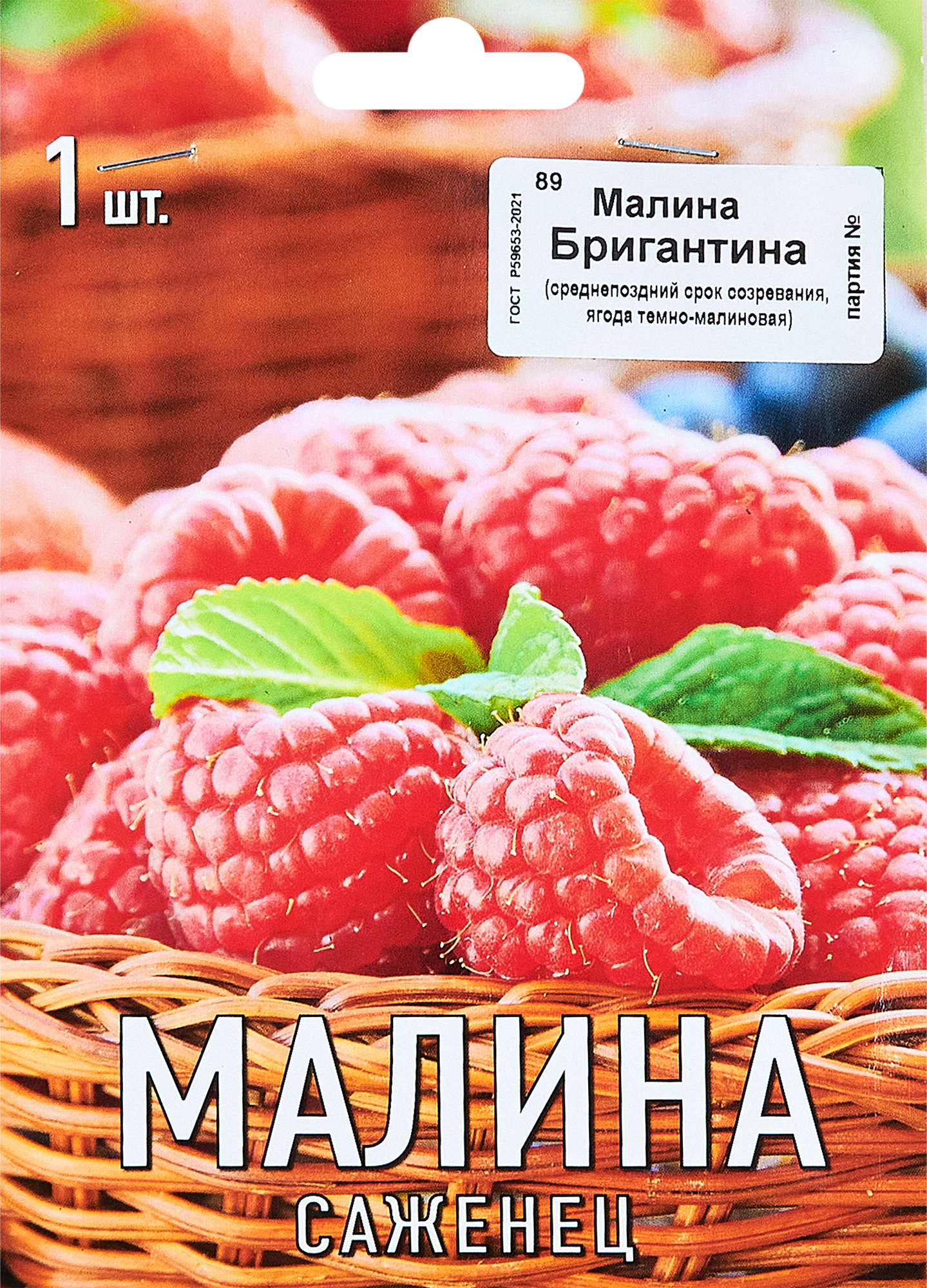 Изображение товара Малина Бригантина капер h10 см Изображение товара Малина Бригантина капер h10 см