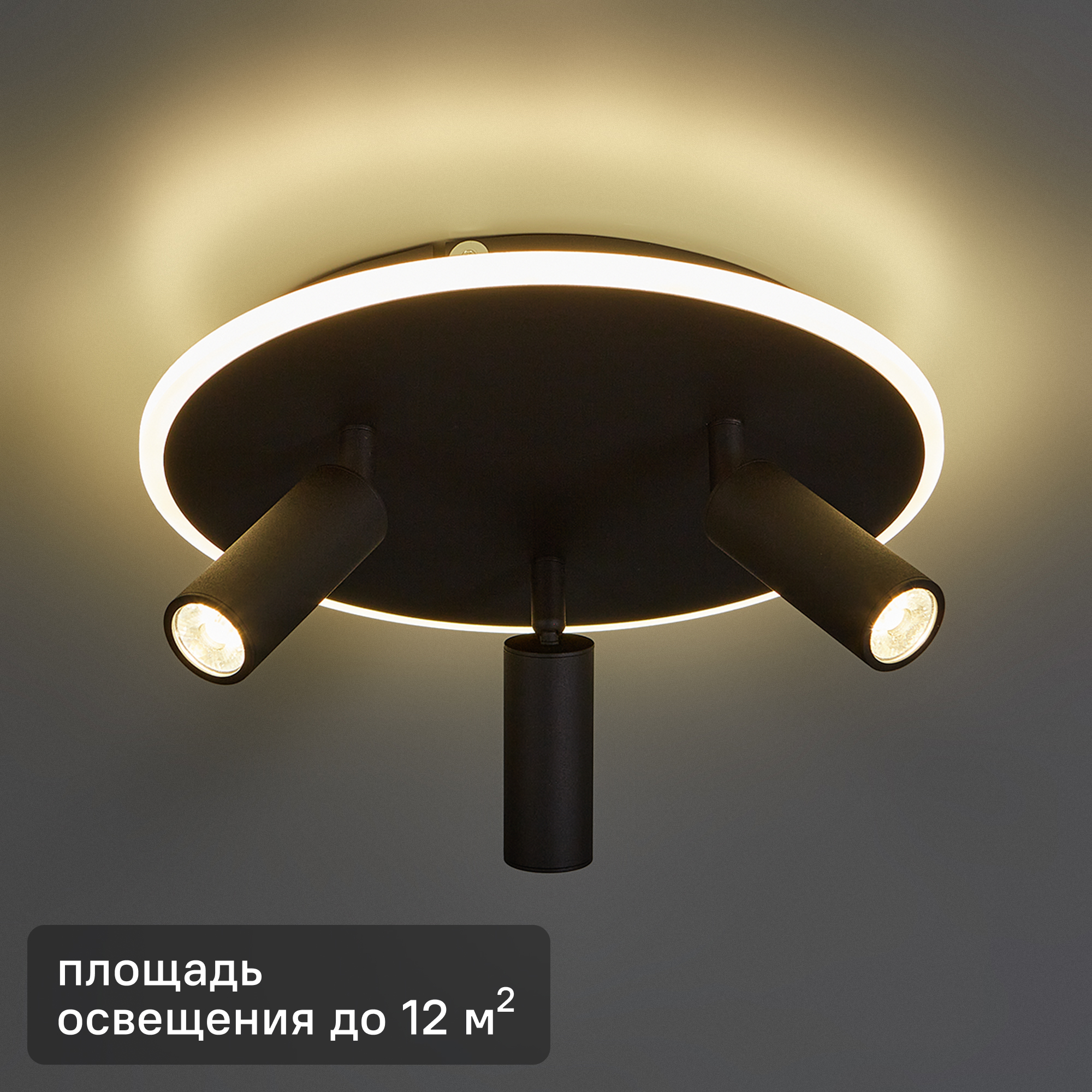 Изображение товара Светильник потолочный 20046SMA/03 цвет черный