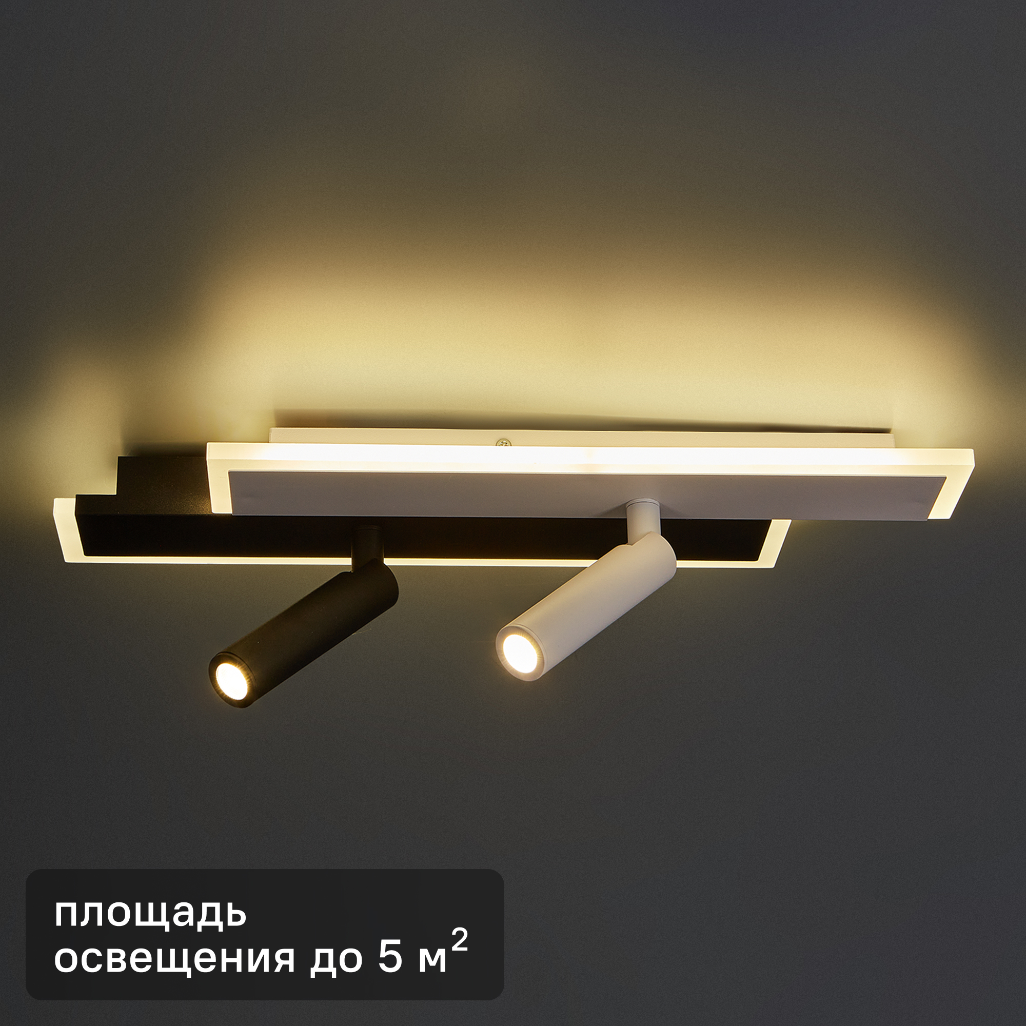 Изображение товара Светильник потолочный ESCADA 20047SMA/01 бело-черный