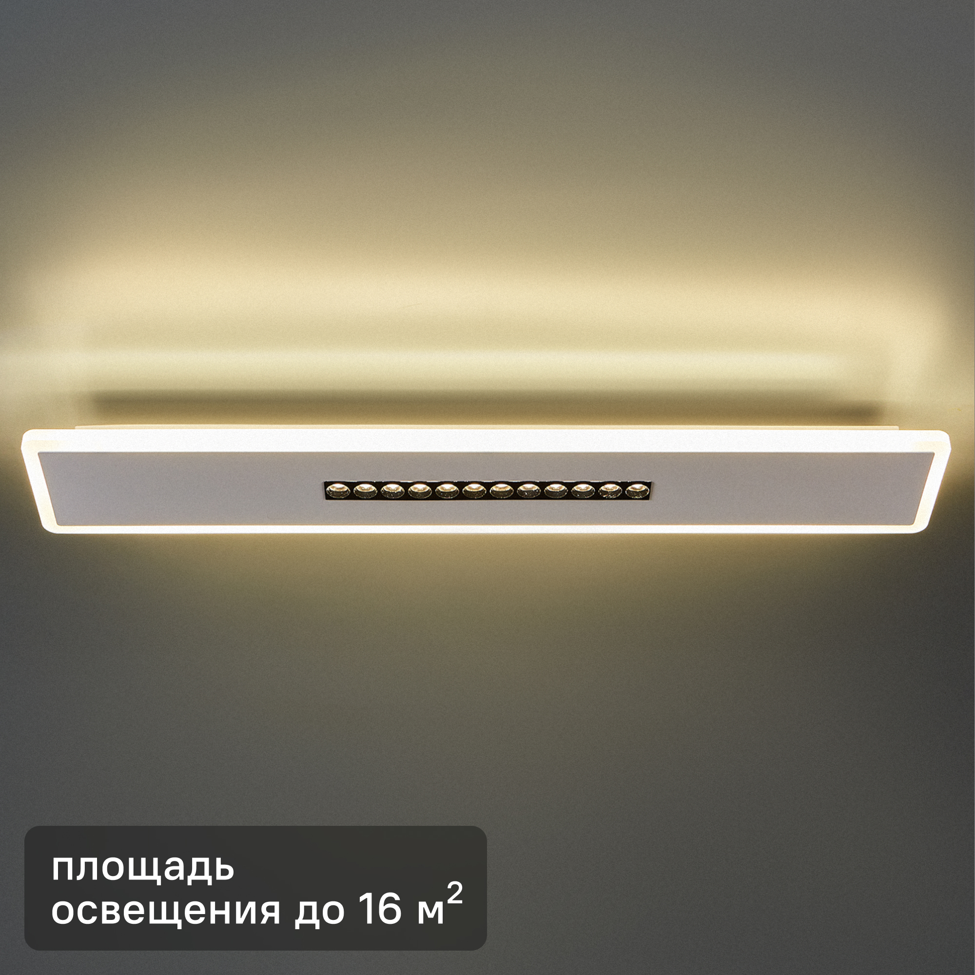Изображение товара Настенно-потолочный светодиодный светильник Freya Shine FR6105CL-L40W 24 Вт белый