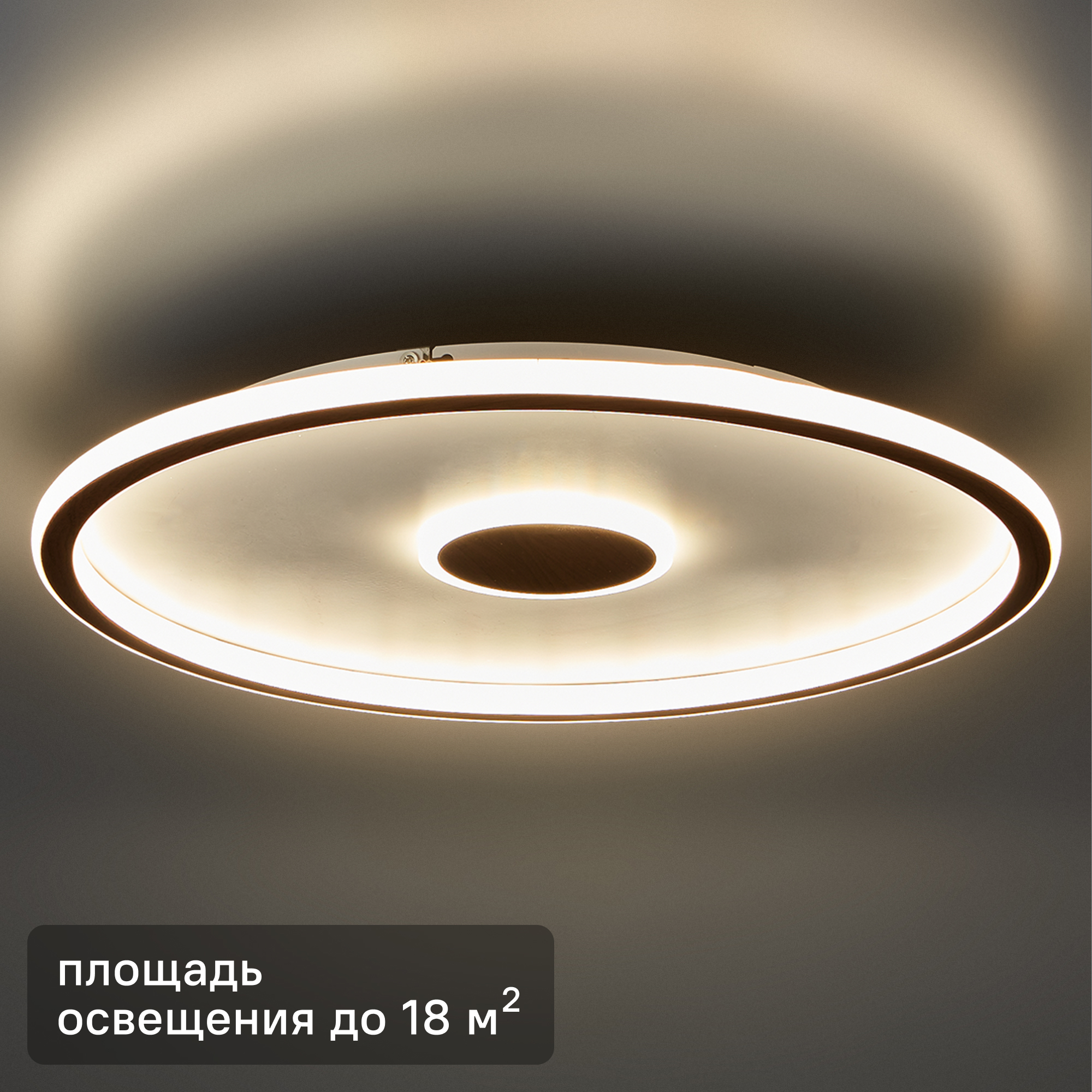 Изображение товара Светильник настенно-потолочный светодиодный Freya Orbit FR5421CL-L80BR 80 Вт