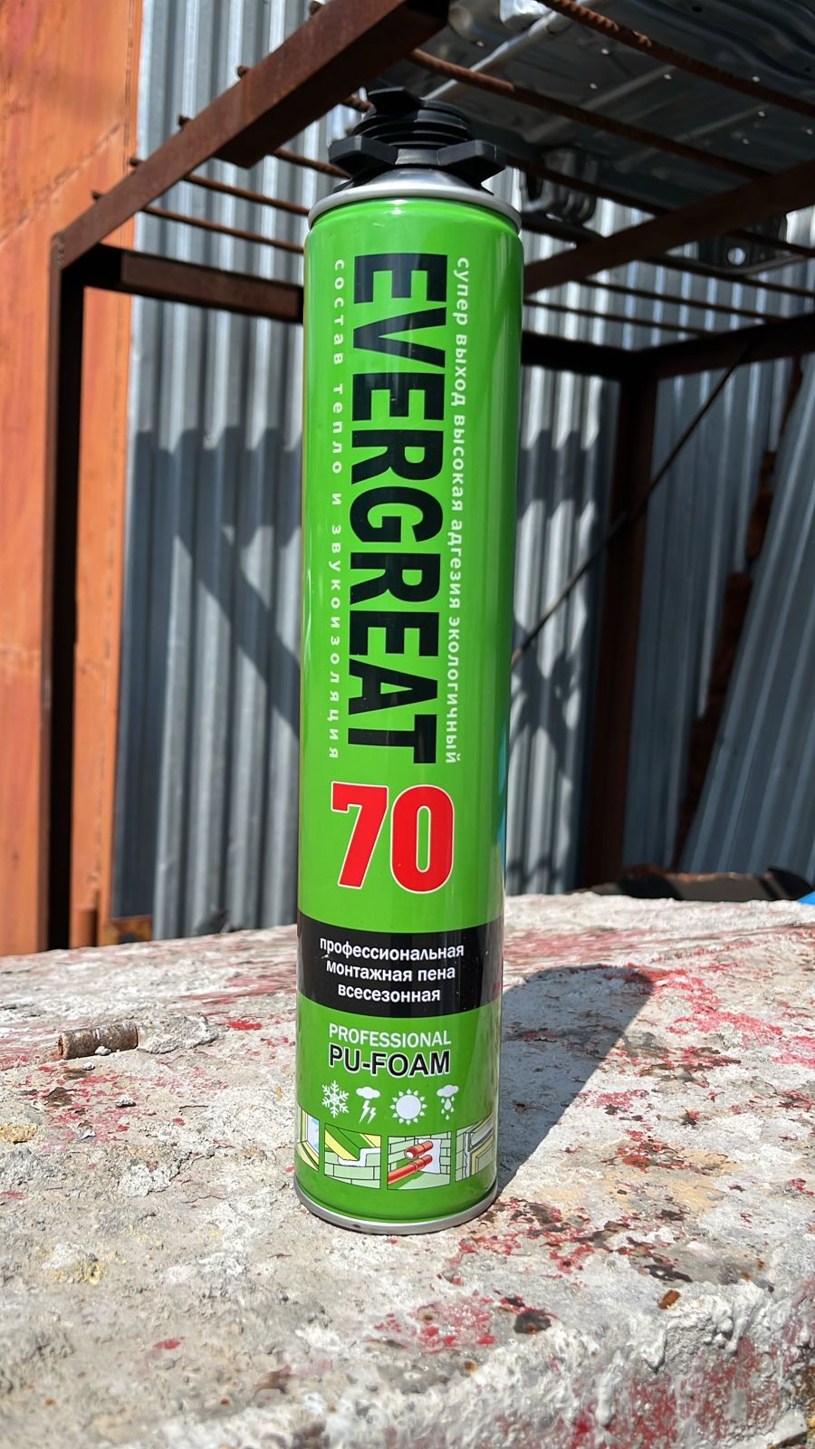 Изображение товара Пена монтажная профессиональная Evergreat Professional 70 всесезонная 750 мл