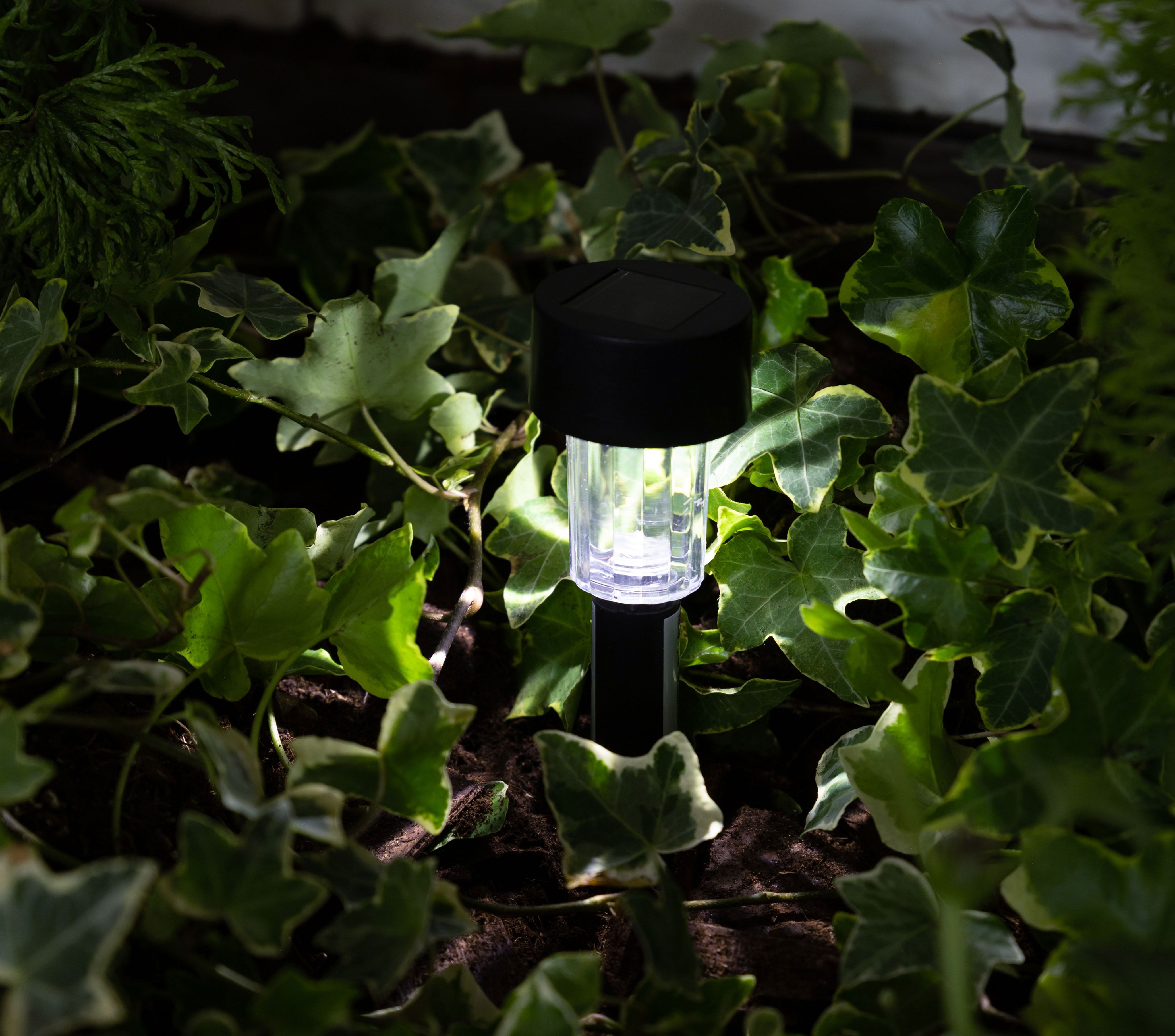 Изображение товара Светильник садовый Erato на солнечных батареях цвет черный