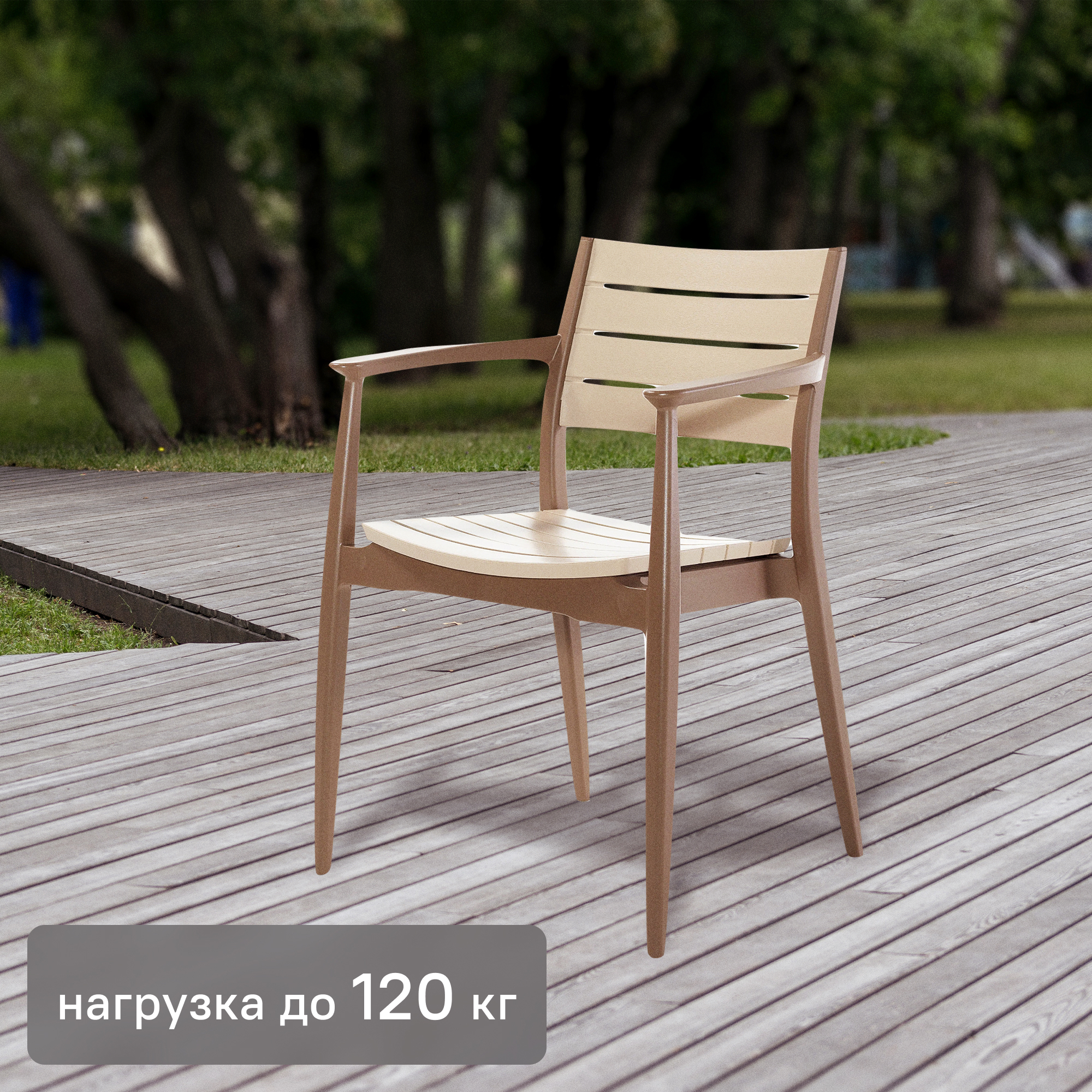 Изображение товара Кресло Novussi Regnum 82x58 см пластик цвет кофейный/капучино