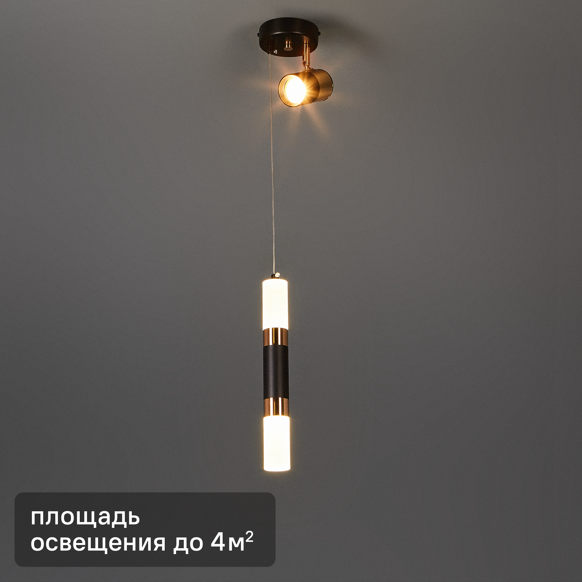 Изображение товара Подвесной светодиодный светильник Escada Ordinata 10221/2 белый и черный стиль хай-тек