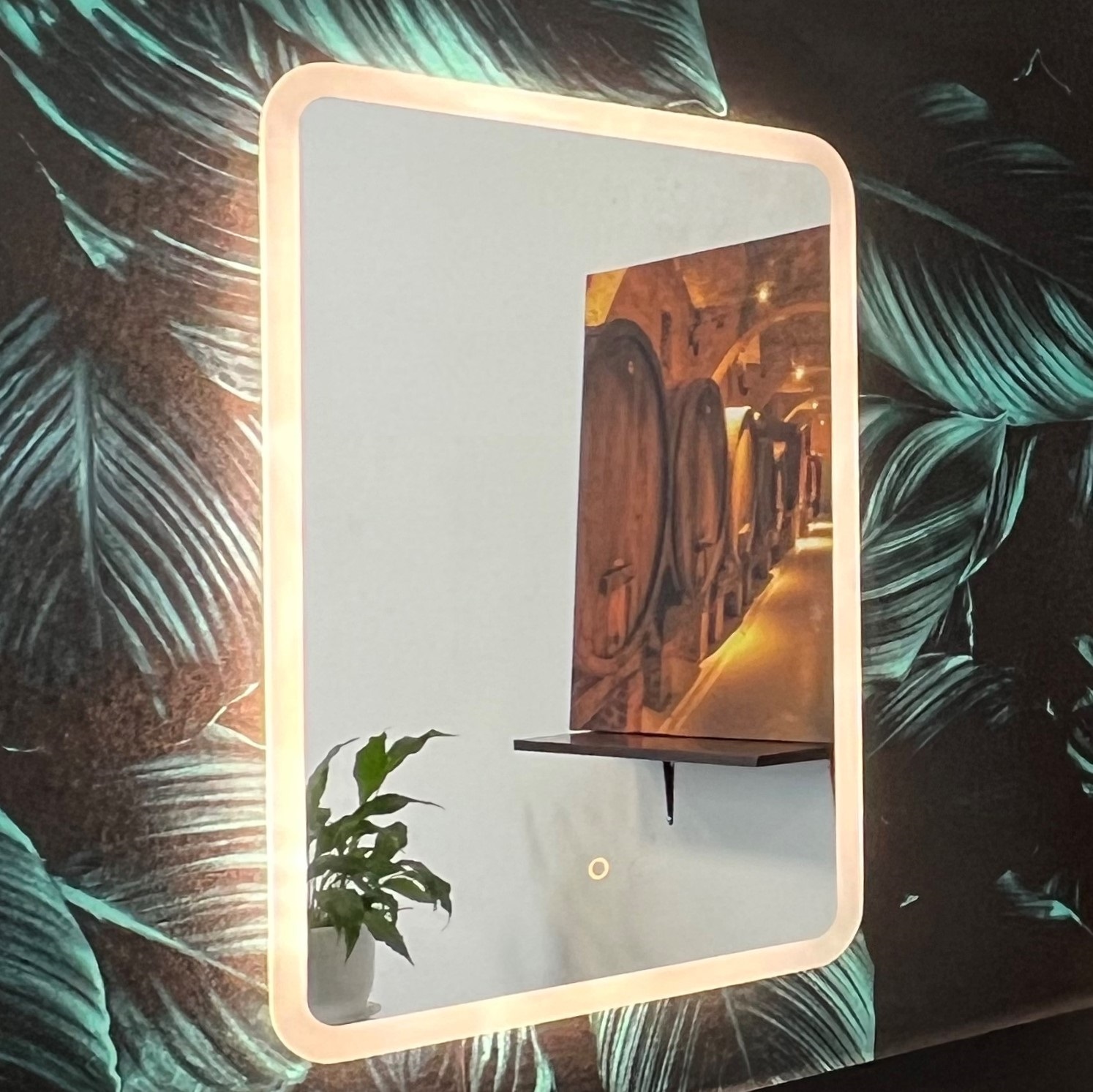 Изображение товара Зеркало для ванной Alfa mirrors Сенсорное управление Di-57Vt-lite с подсветкой 50x70см