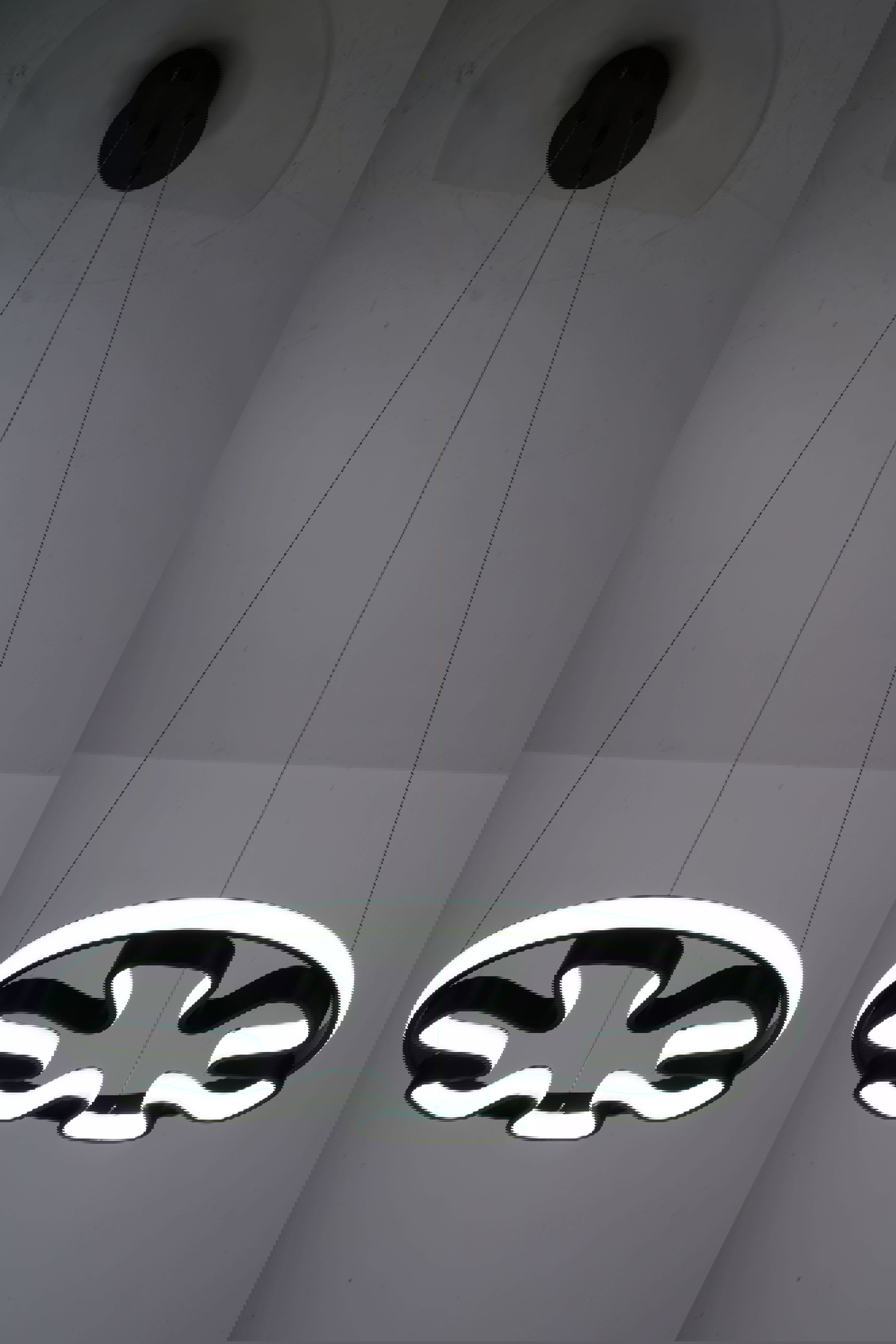 Изображение товара Современная светодиодная люстра в стиле лофт Балтийский светлячок LP-10022, регулируемый свет, пуль