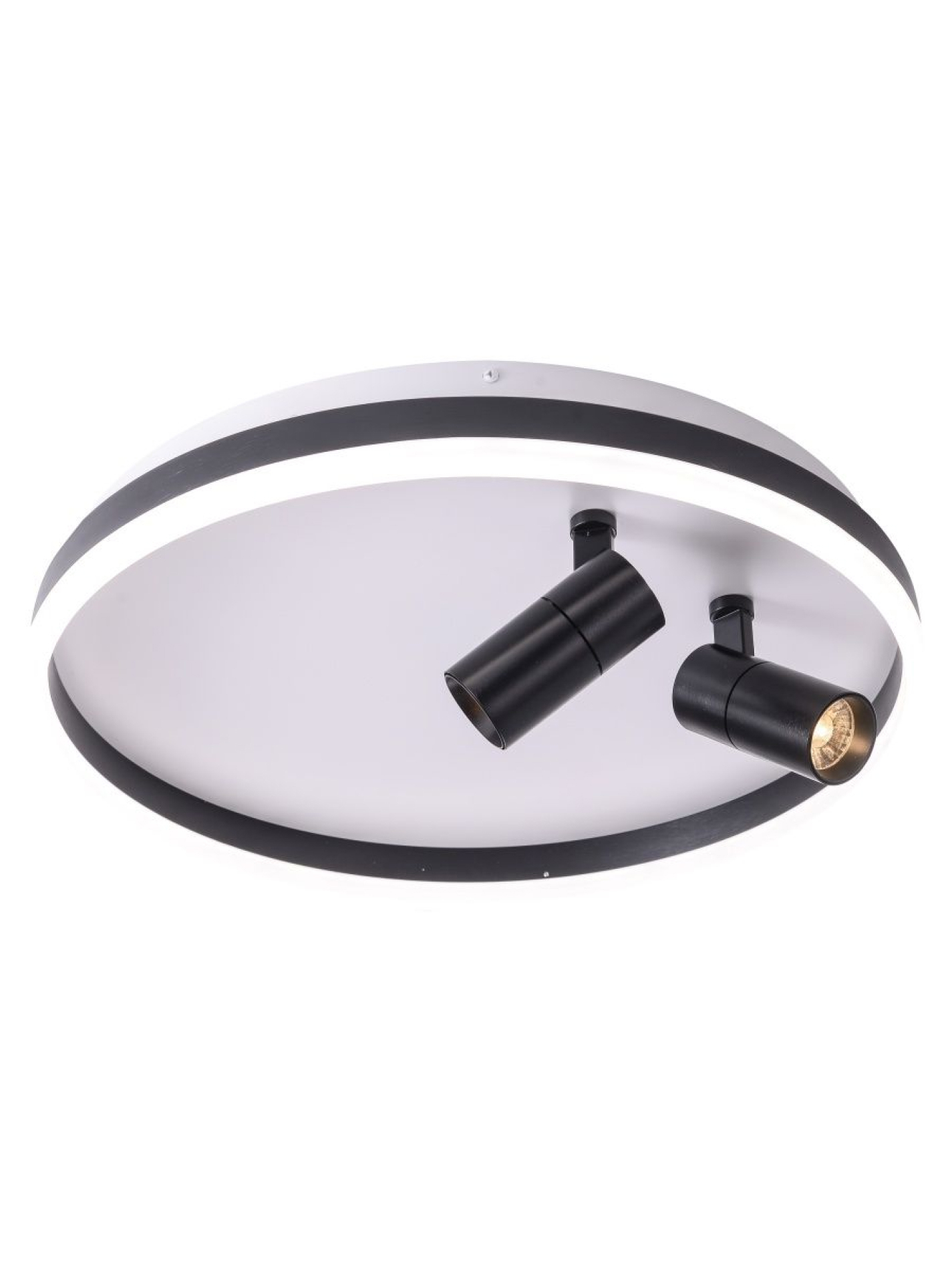 Изображение товара Светильник подвесной светодиодный Zortes Raizy ZRS.1888.01 20 м² черно-белый