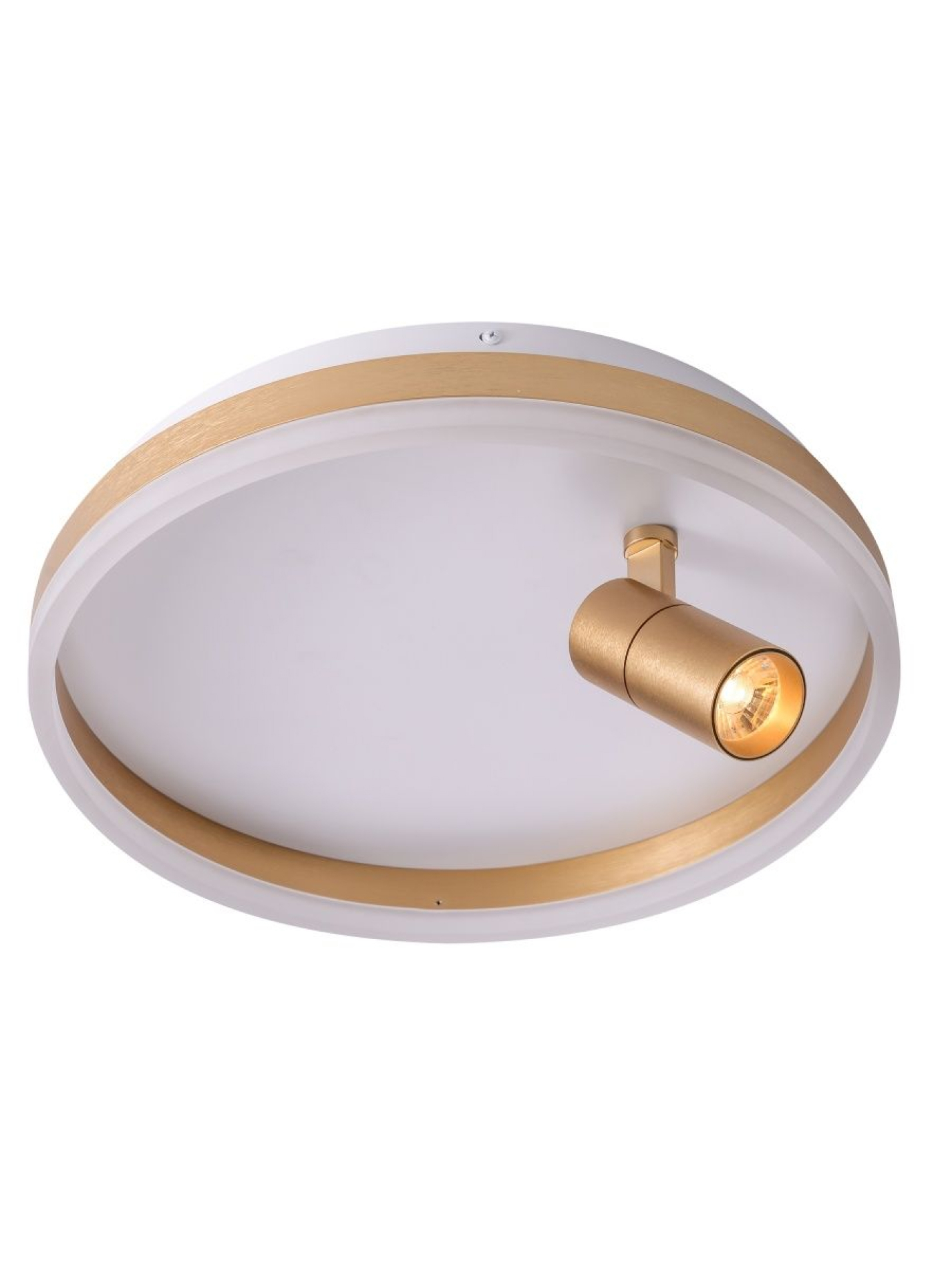 Изображение товара Светильник подвесной светодиодный Zortes Raizy Zrs 1888 04 для дома и офиса