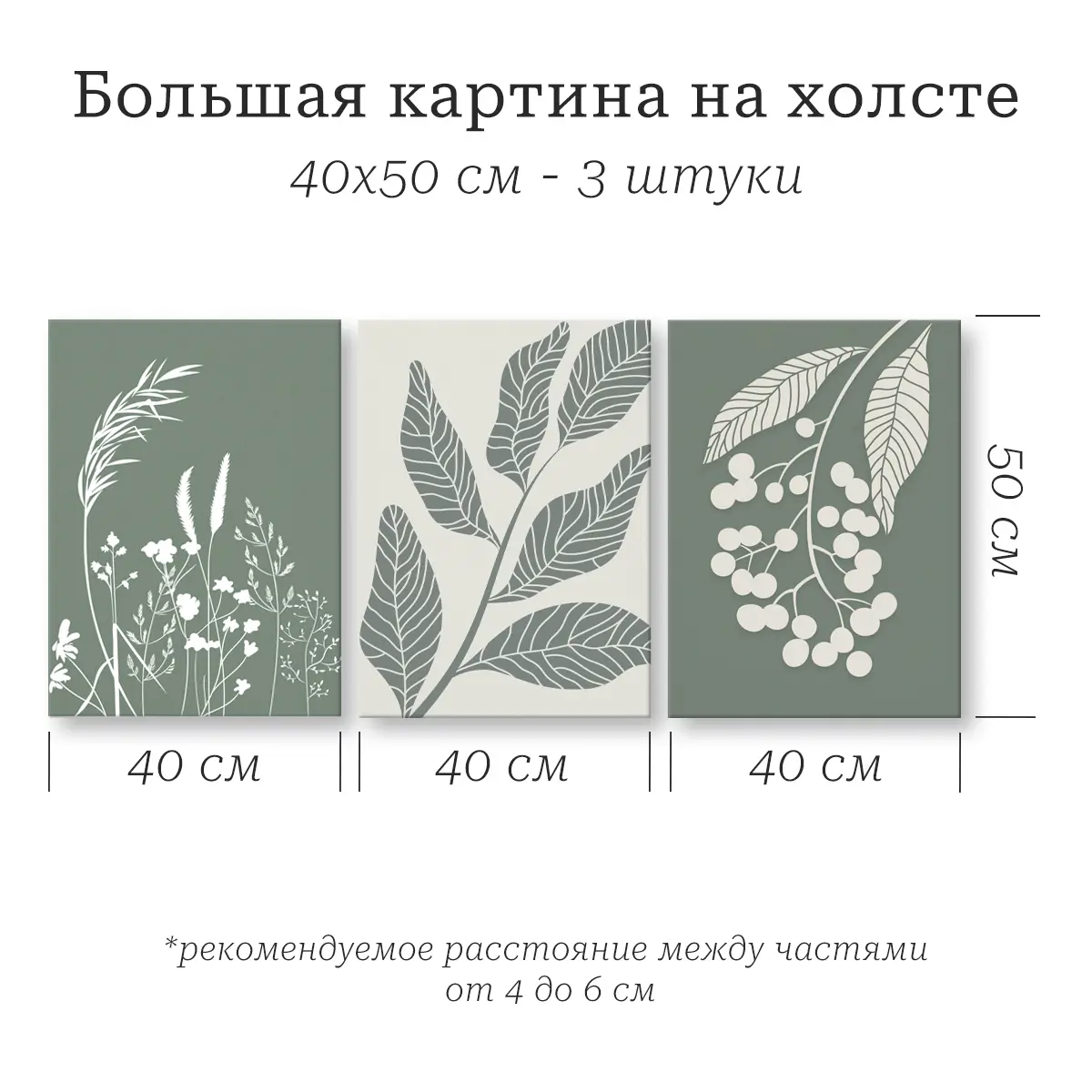 Картина модульная Ботаника 40x50 см 3 шт. - 1