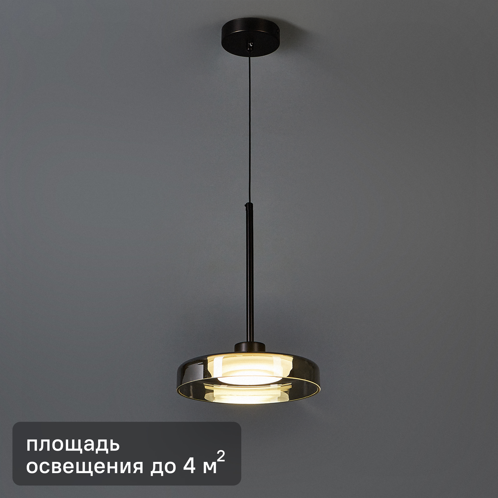 Изображение товара Светильник подвесной светодиодный De City Стаут 10 Вт черный стиль хай-тек